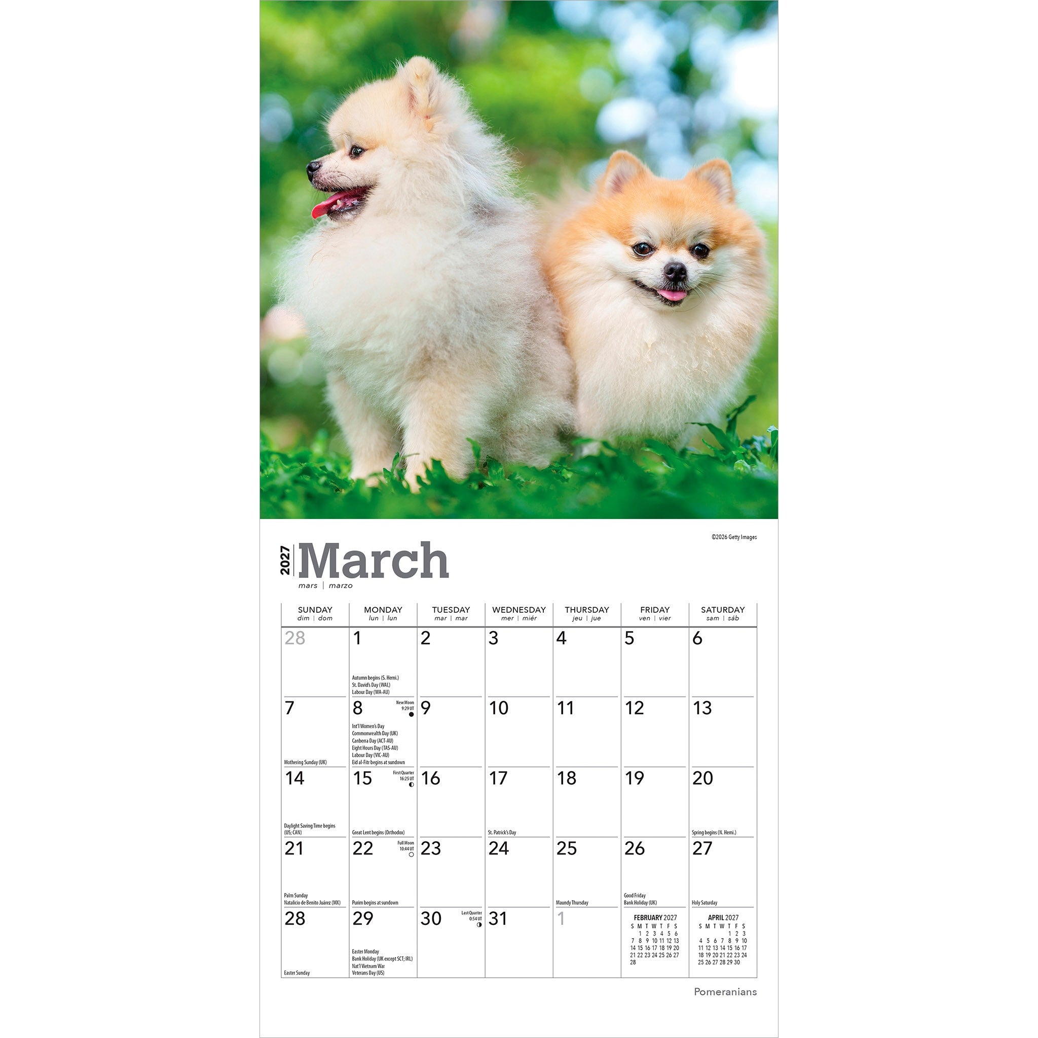 Pomeranians 2027 Mini Calendar