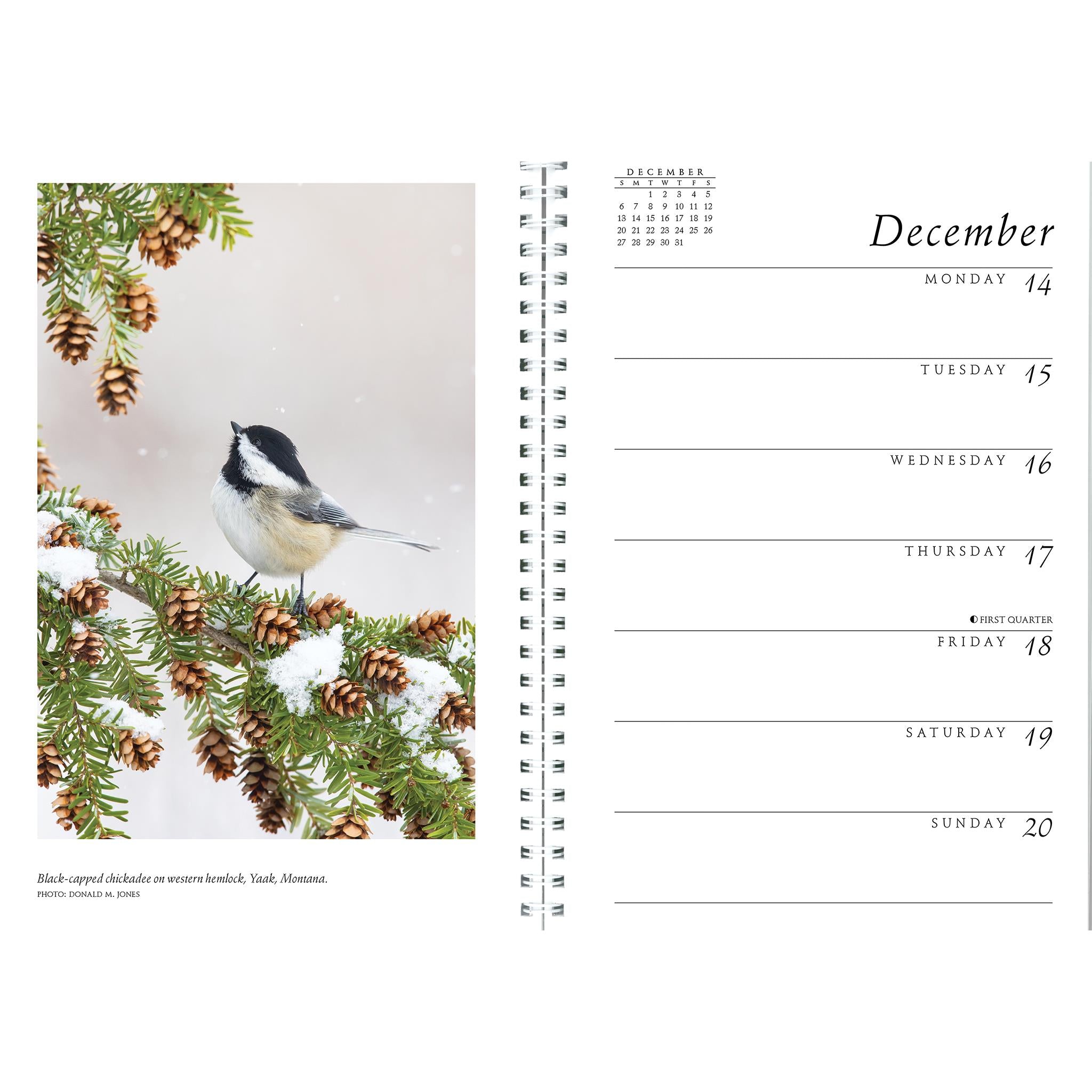 Sierra Club 2026 Engagement Calendar