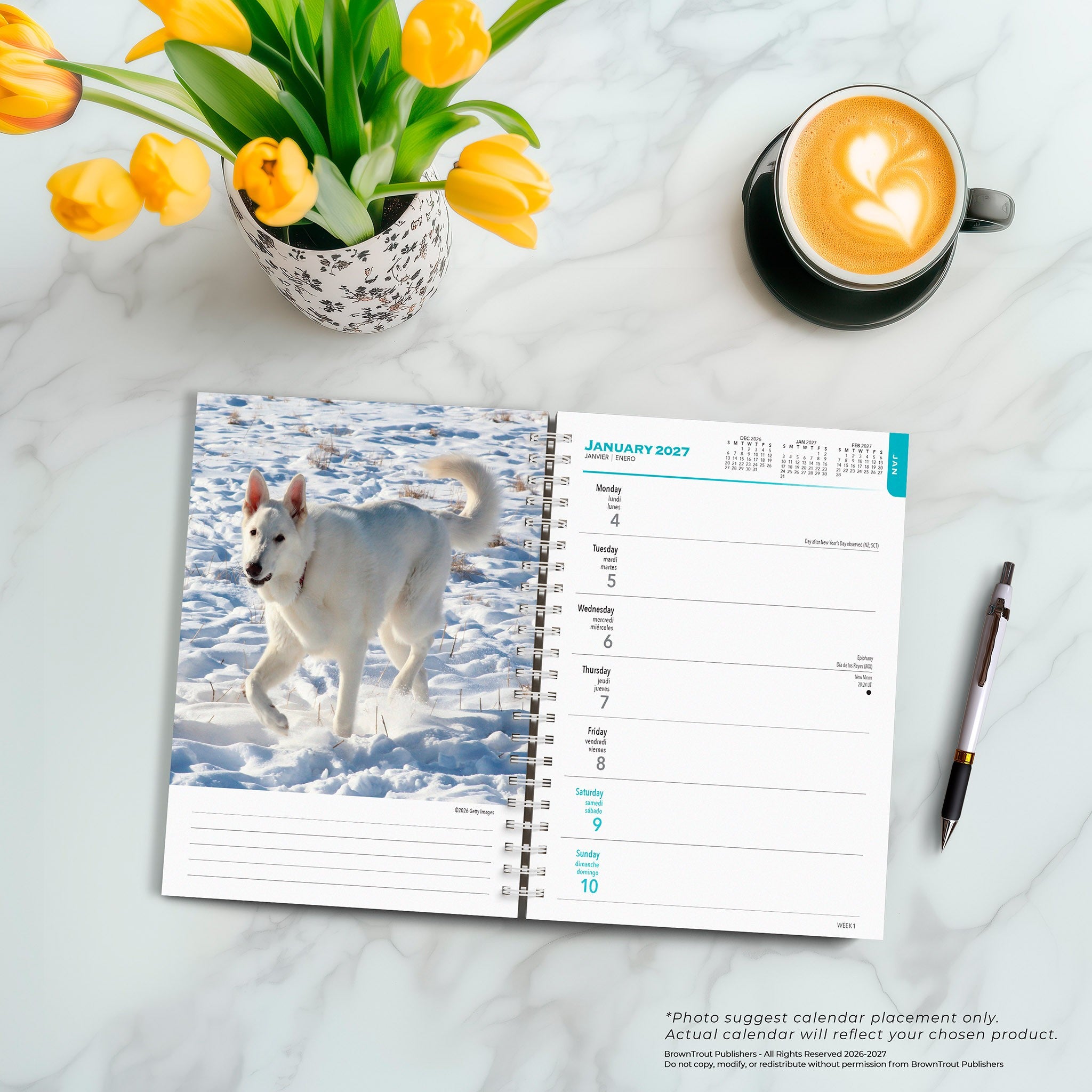 German Shepherds 2027 Engagement Calendar - Online Only