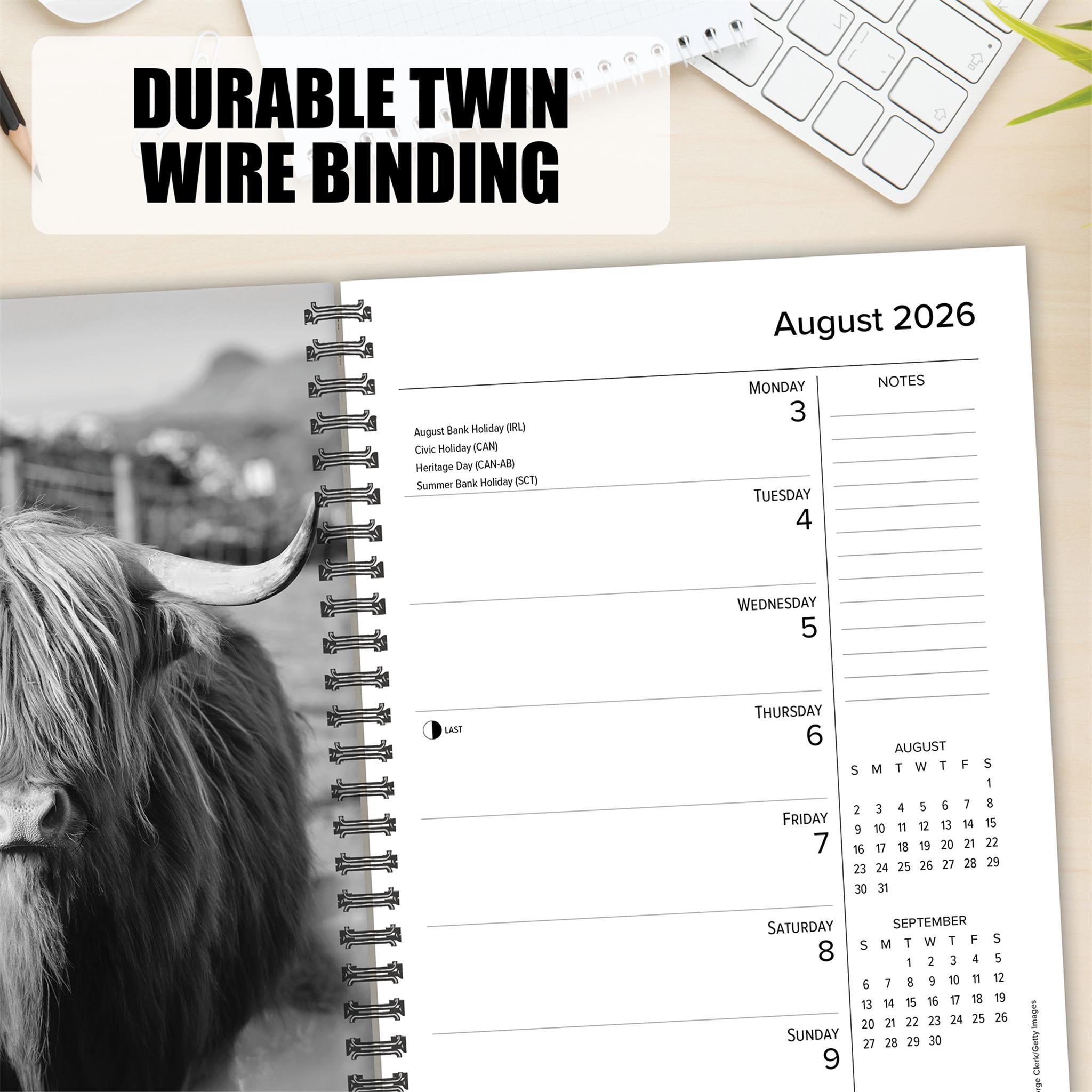 Highland Cows 2026 Engagement Calendar