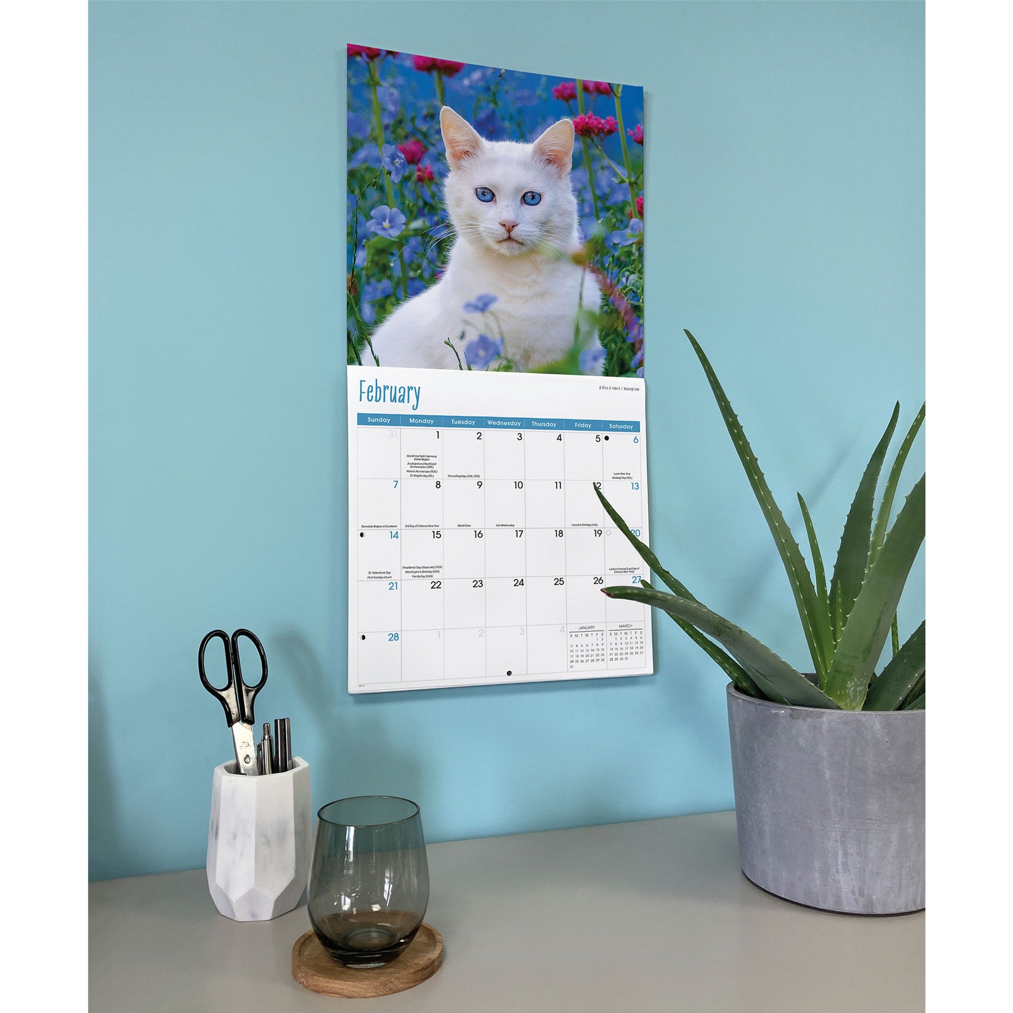 Cats 2027 Wall Calendar