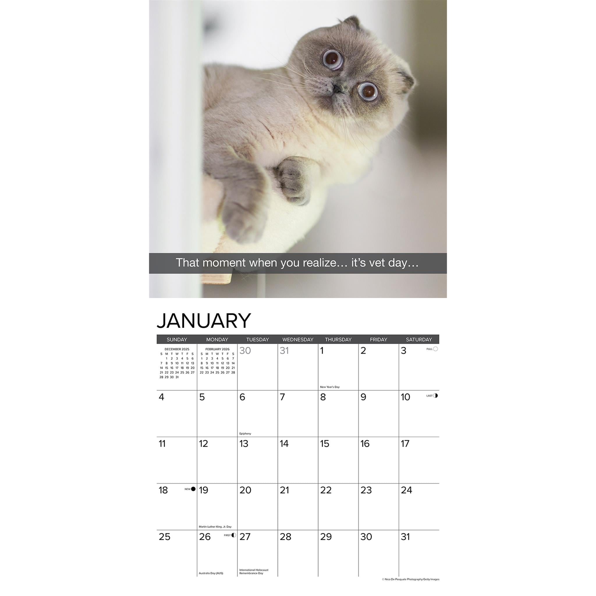 Snapcats 2026 Wall Calendar