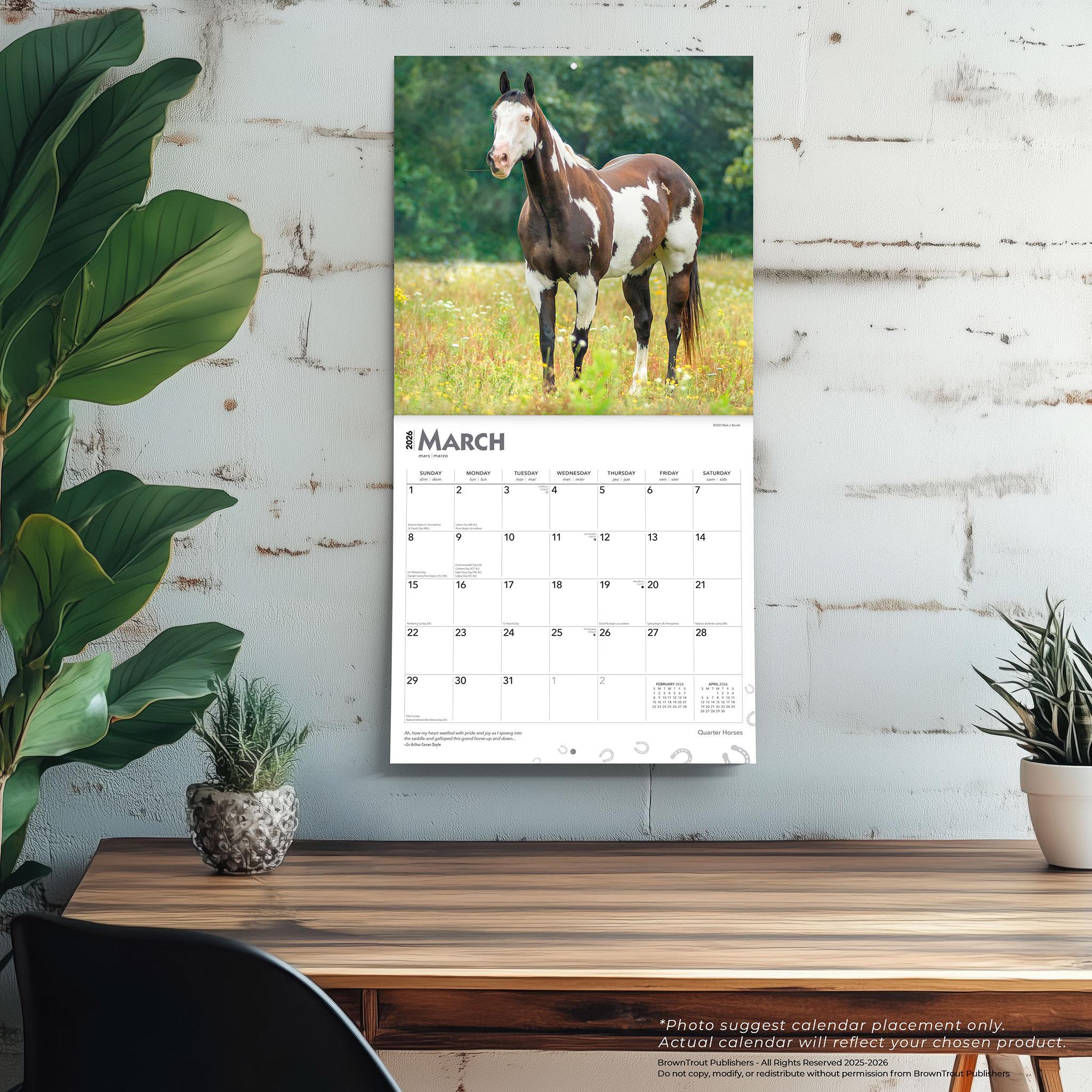 Calendrier mural Quarter Horses 2026 - Disponible uniquement en ligne