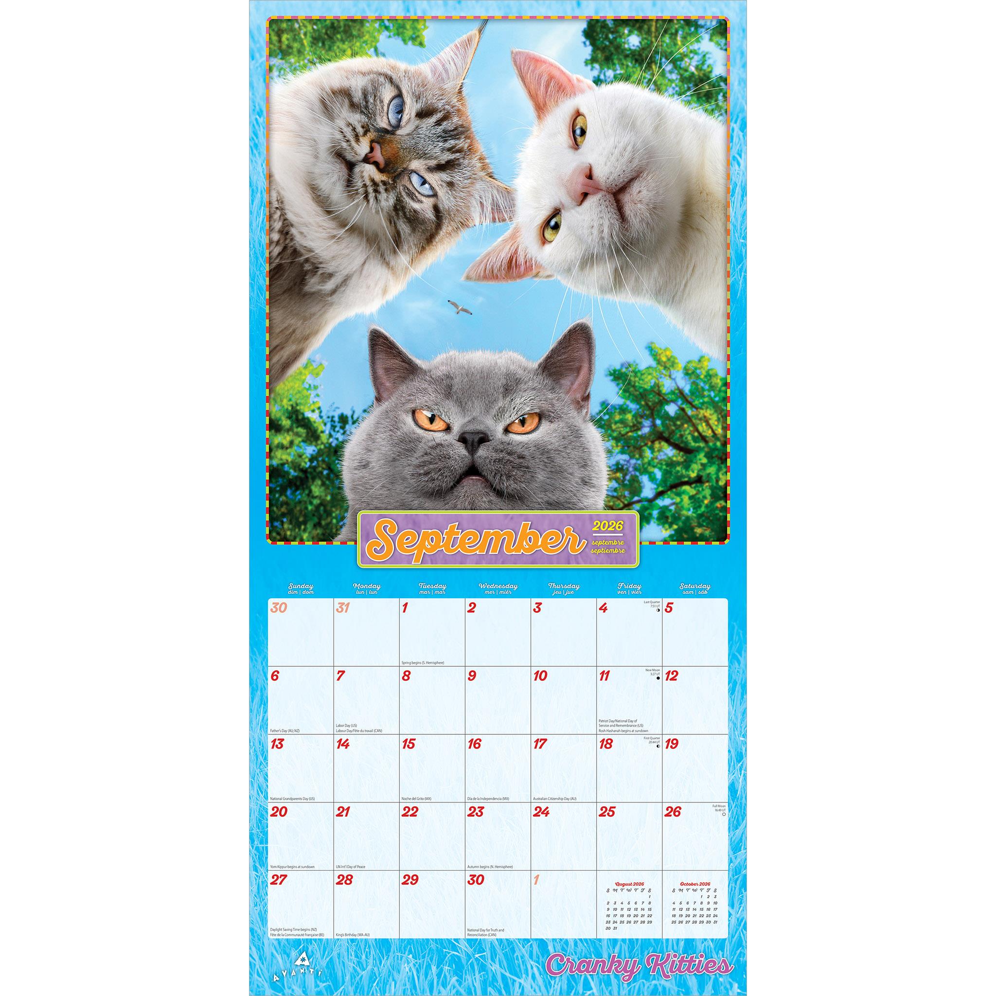 Avanti Cranky Kitties 2026 Wall Calendar - Online Only