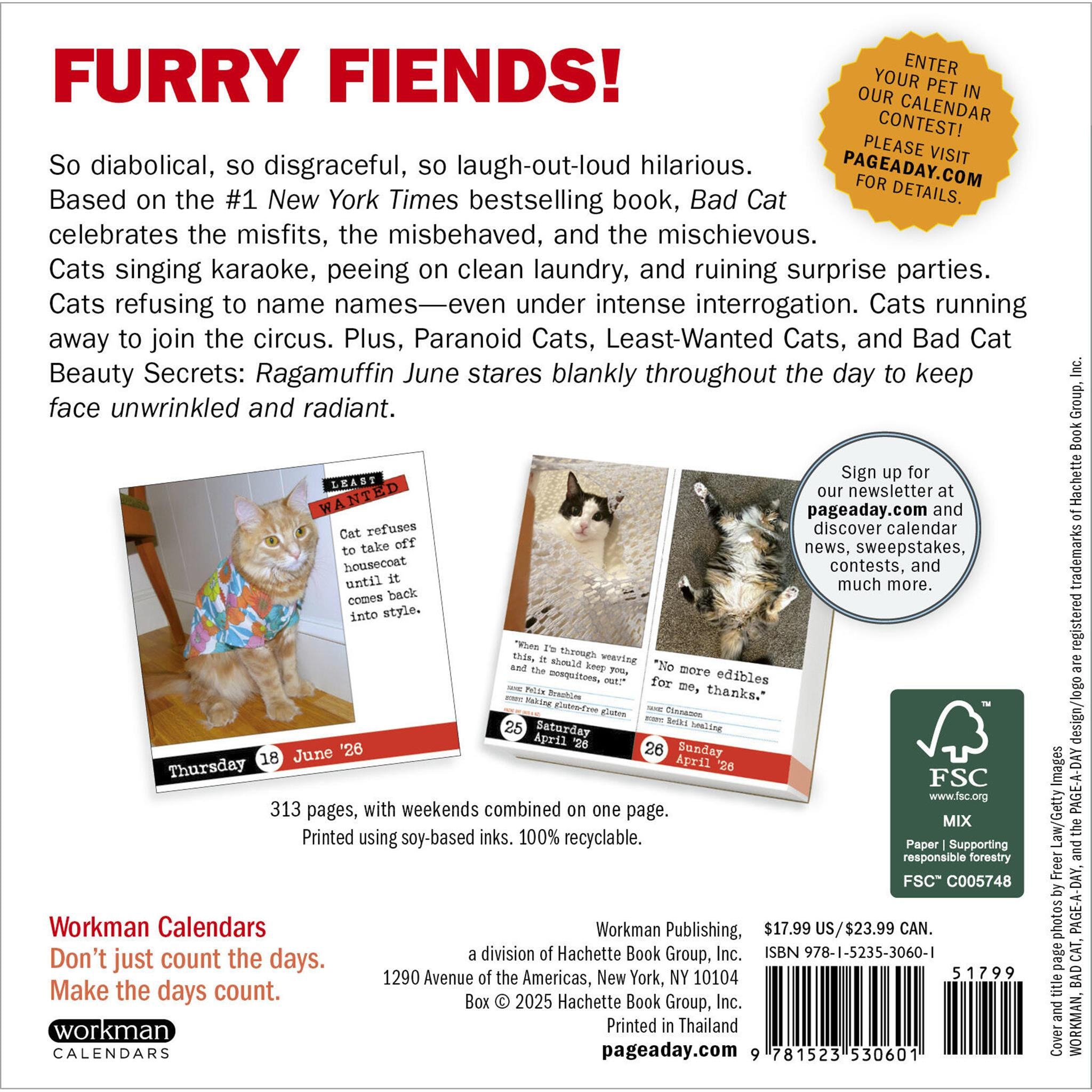 Bad Cat 2026 Box Calendar