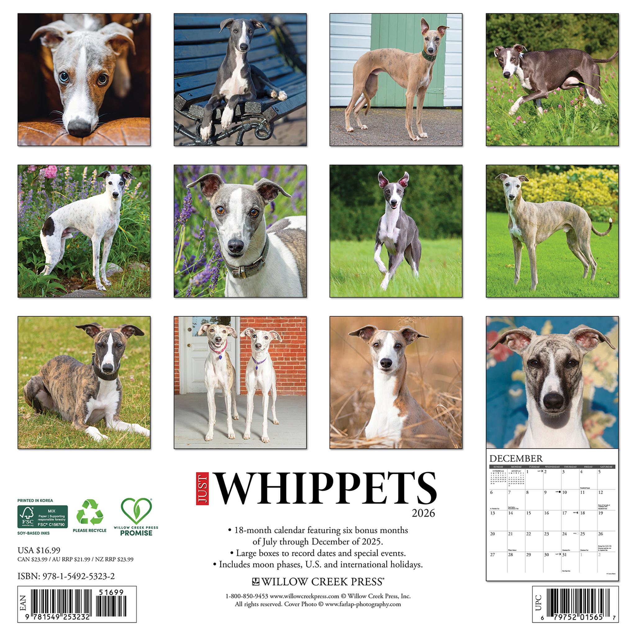 Calendrier mural Just Whippets 2026