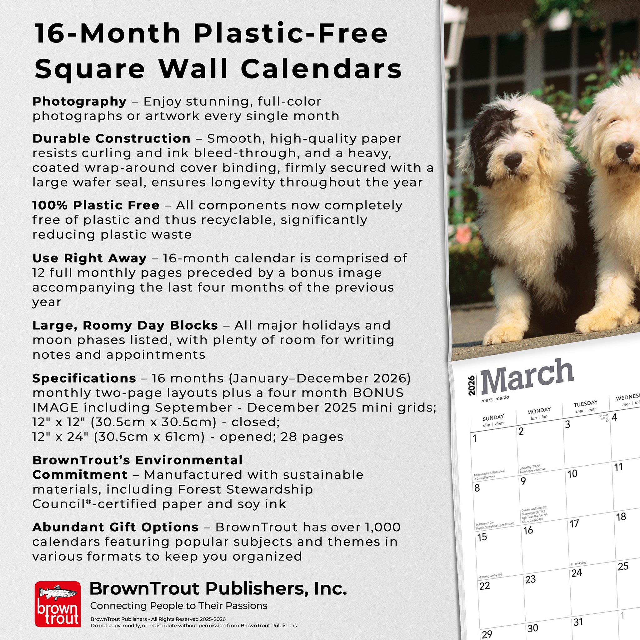 Old English Sheepdogs 2026 Wall Calendar