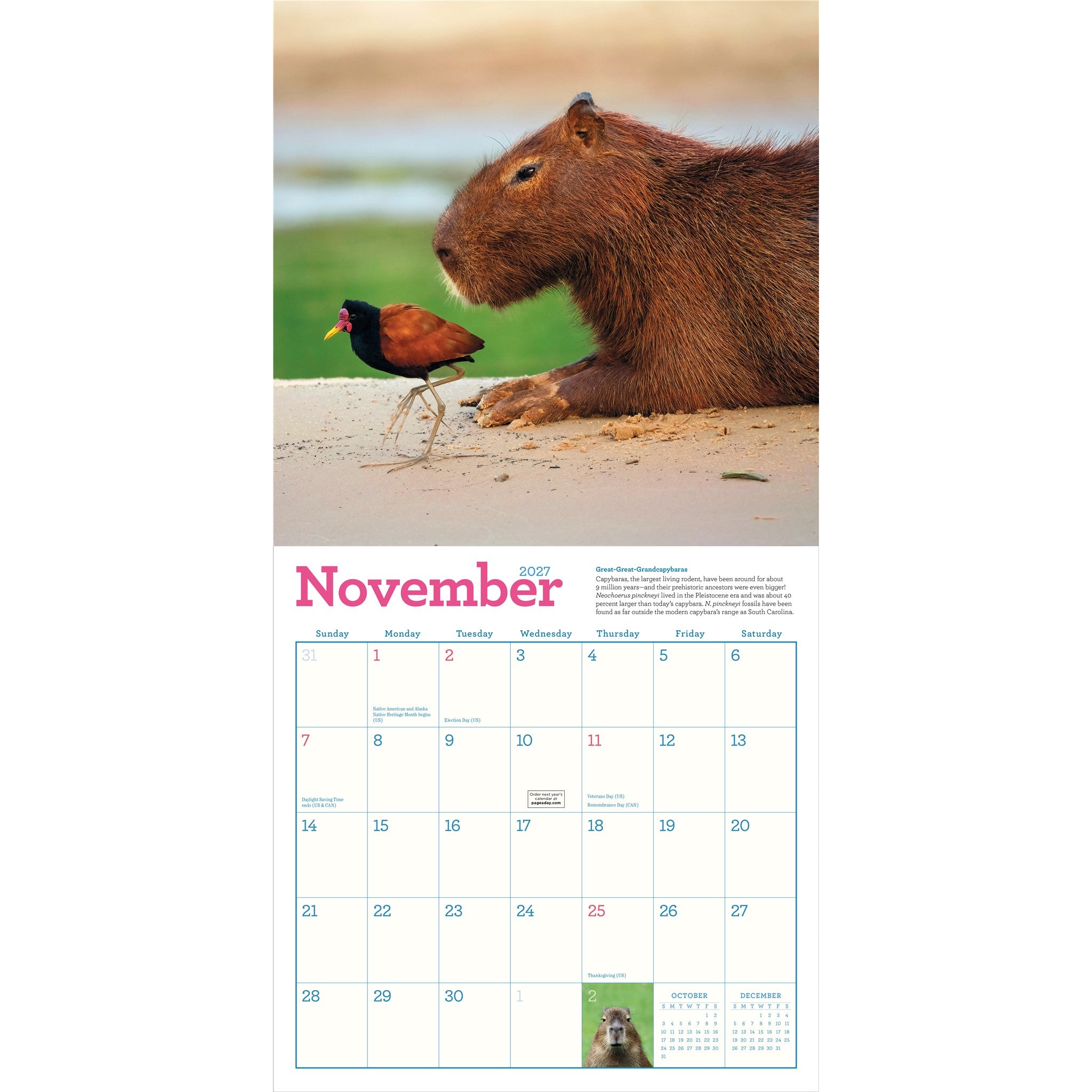Capybara 2027 Wall Calendar