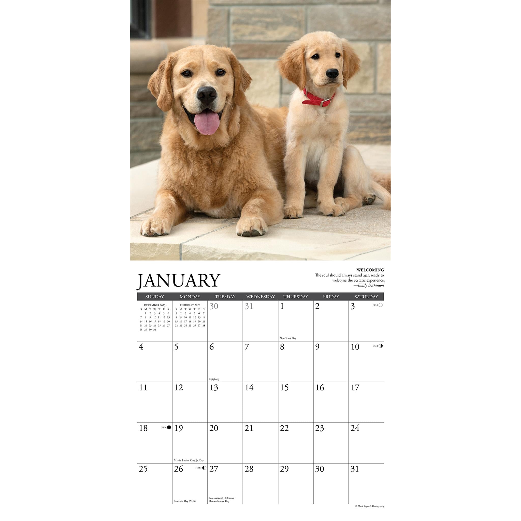 Calendrier mural des règles d'or 2026