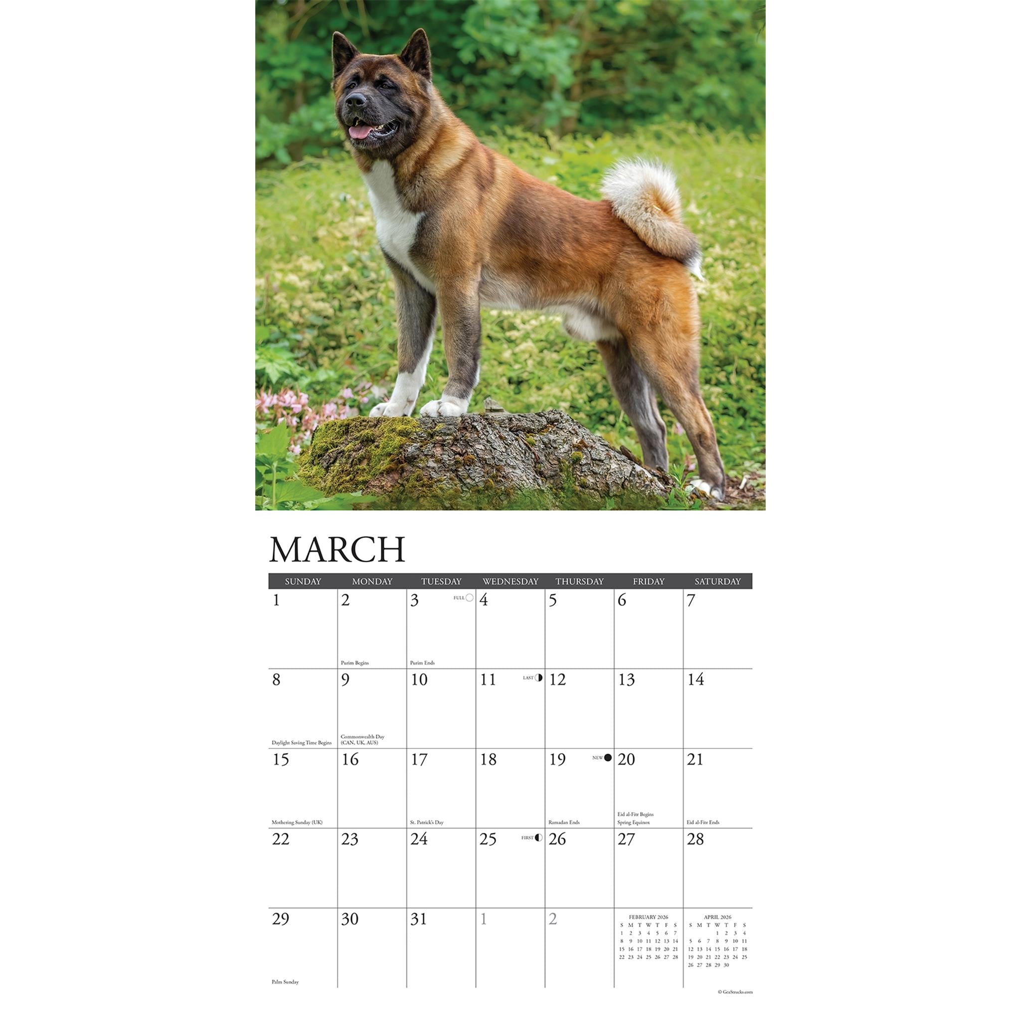 Calendrier mural Just Akitas 2026 - Disponible uniquement en ligne