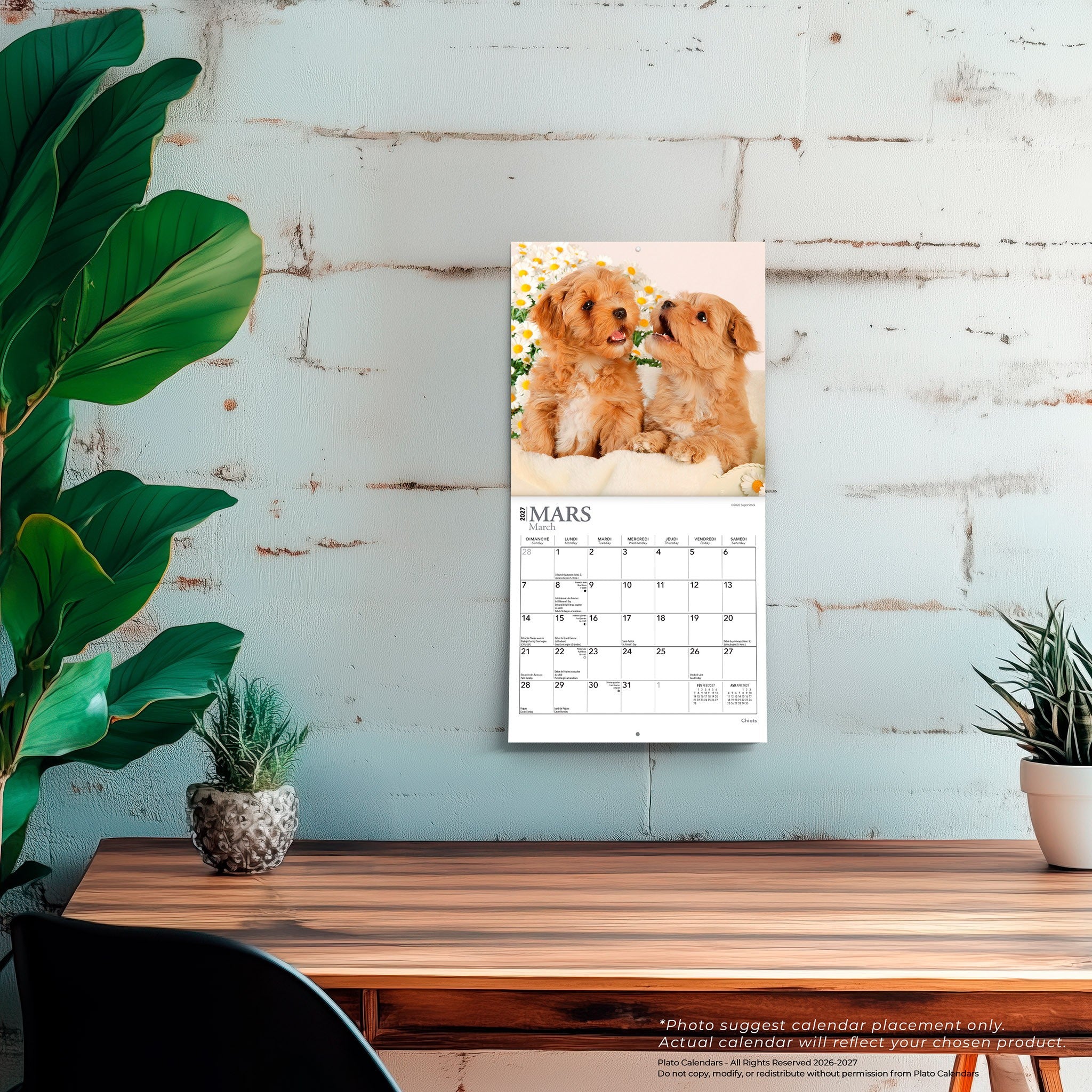 Chiots 2027 Mini Calendar (French)