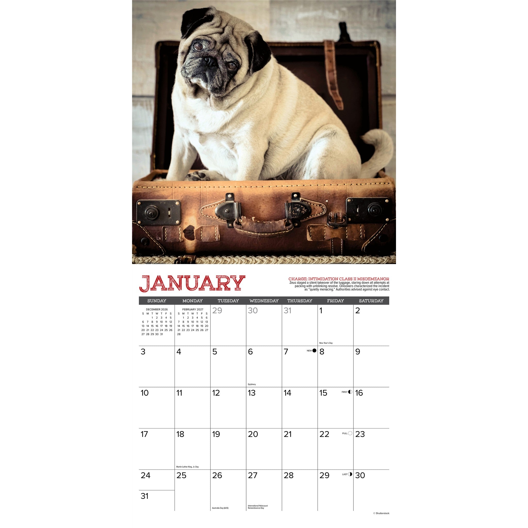 Pug Mugs 2027 Wall Calendar