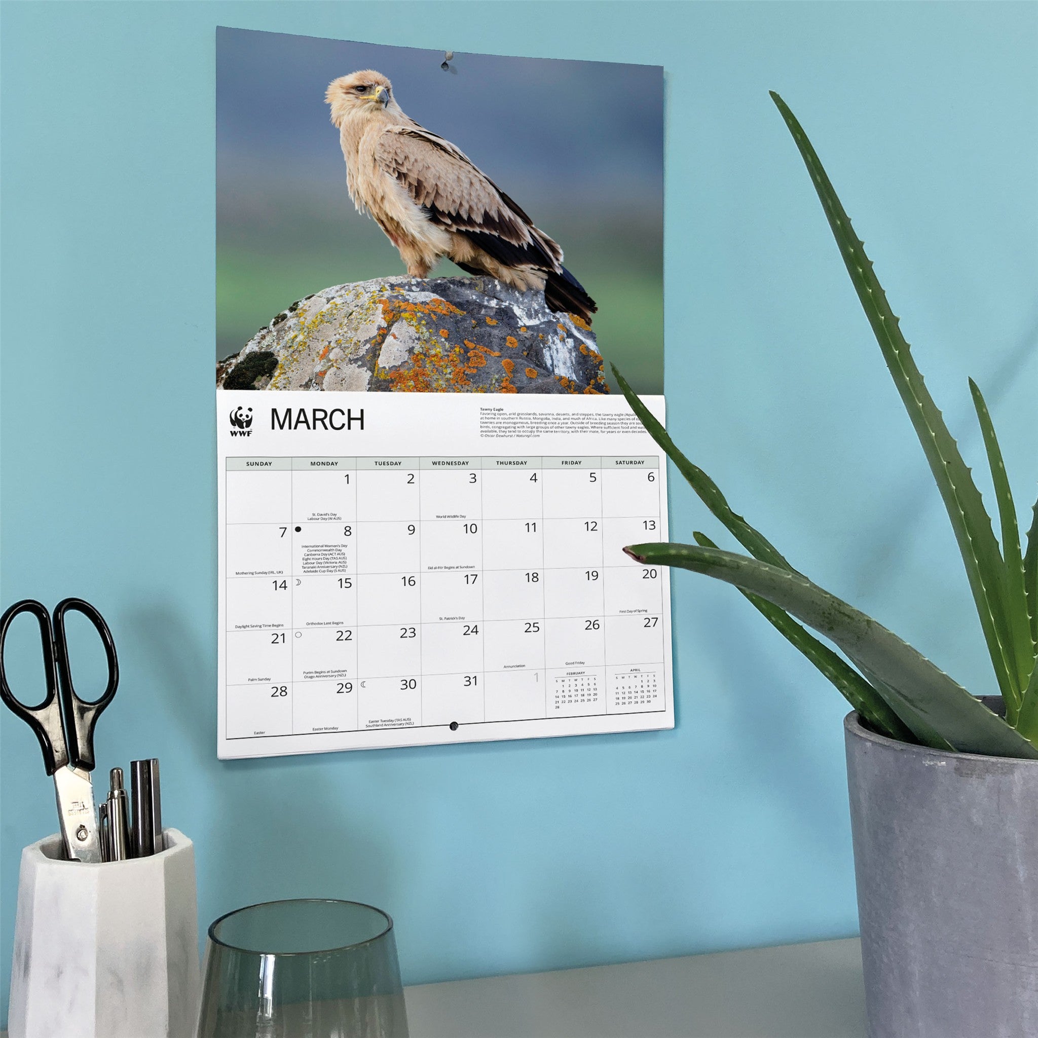 Calendrier mural 2027 Aigles - WWF