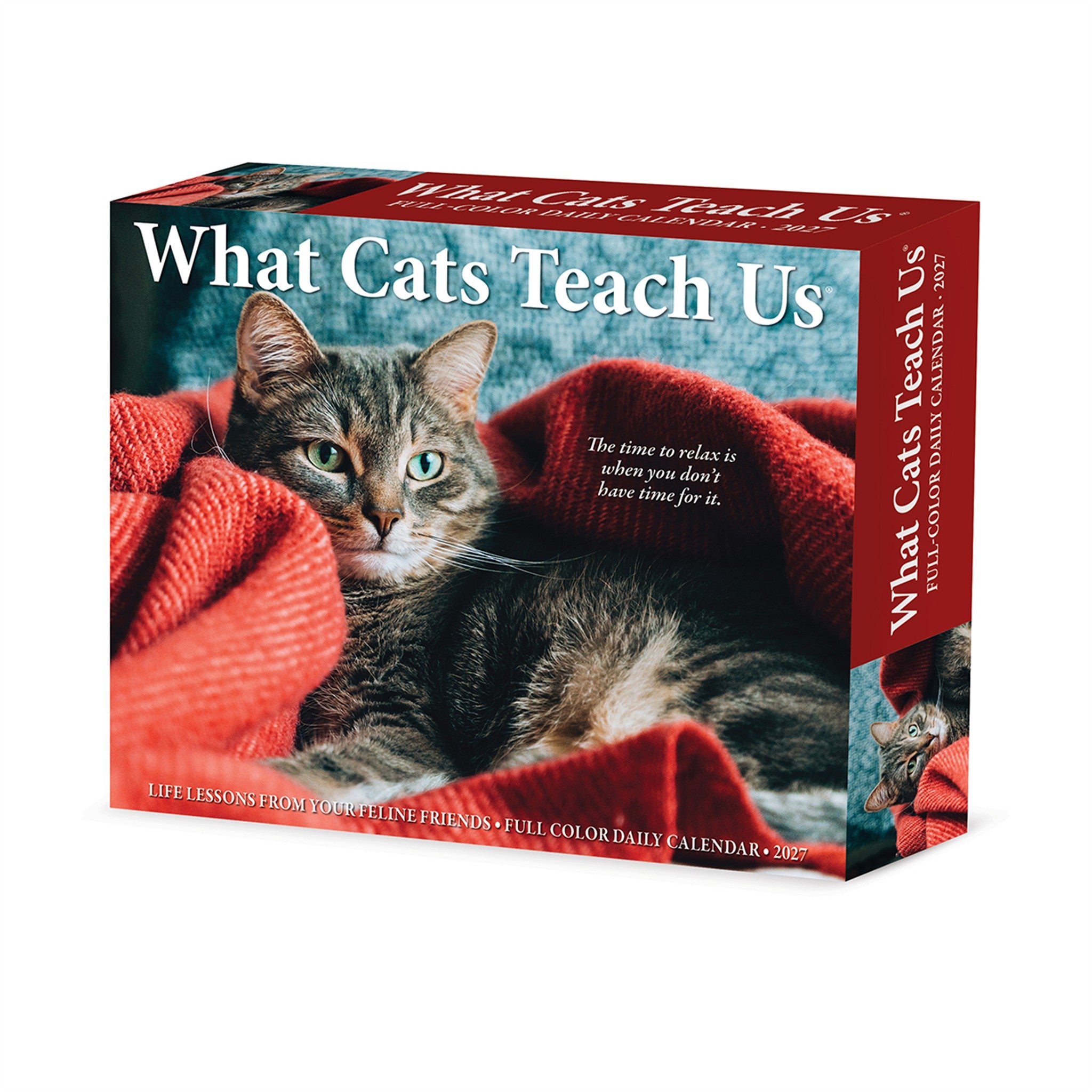 What Cats Teach Us 2027 Box Calendar