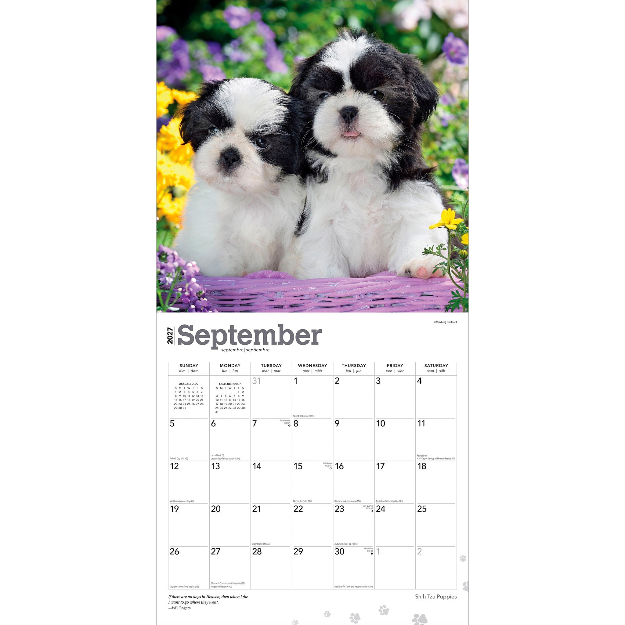 Shih Tzu Puppies 2027 Wall Calendar