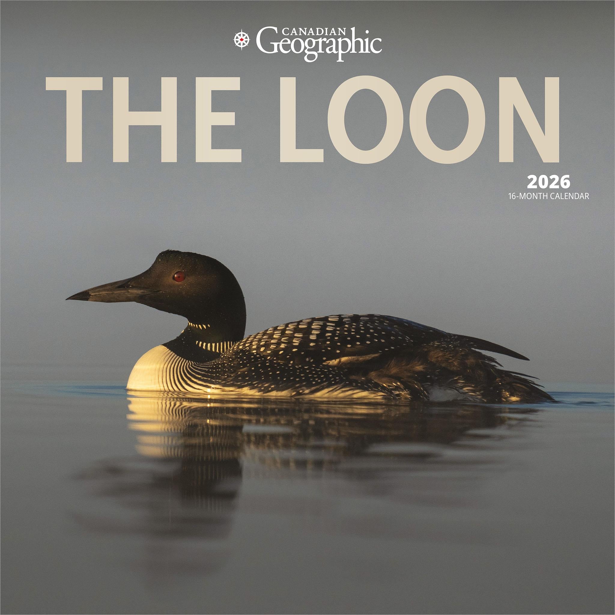 Calendrier mural Canadian Geographic Loon 2026 - Disponible uniquement en ligne