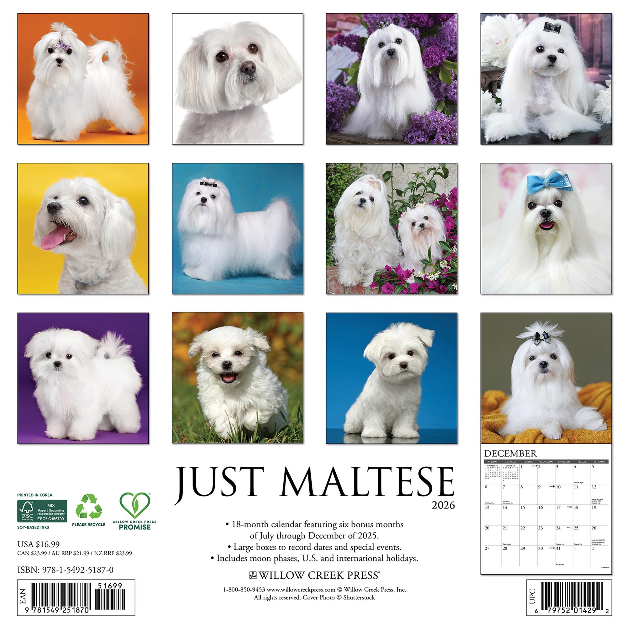 Calendrier mural Just Maltese 2026 - Disponible uniquement en ligne