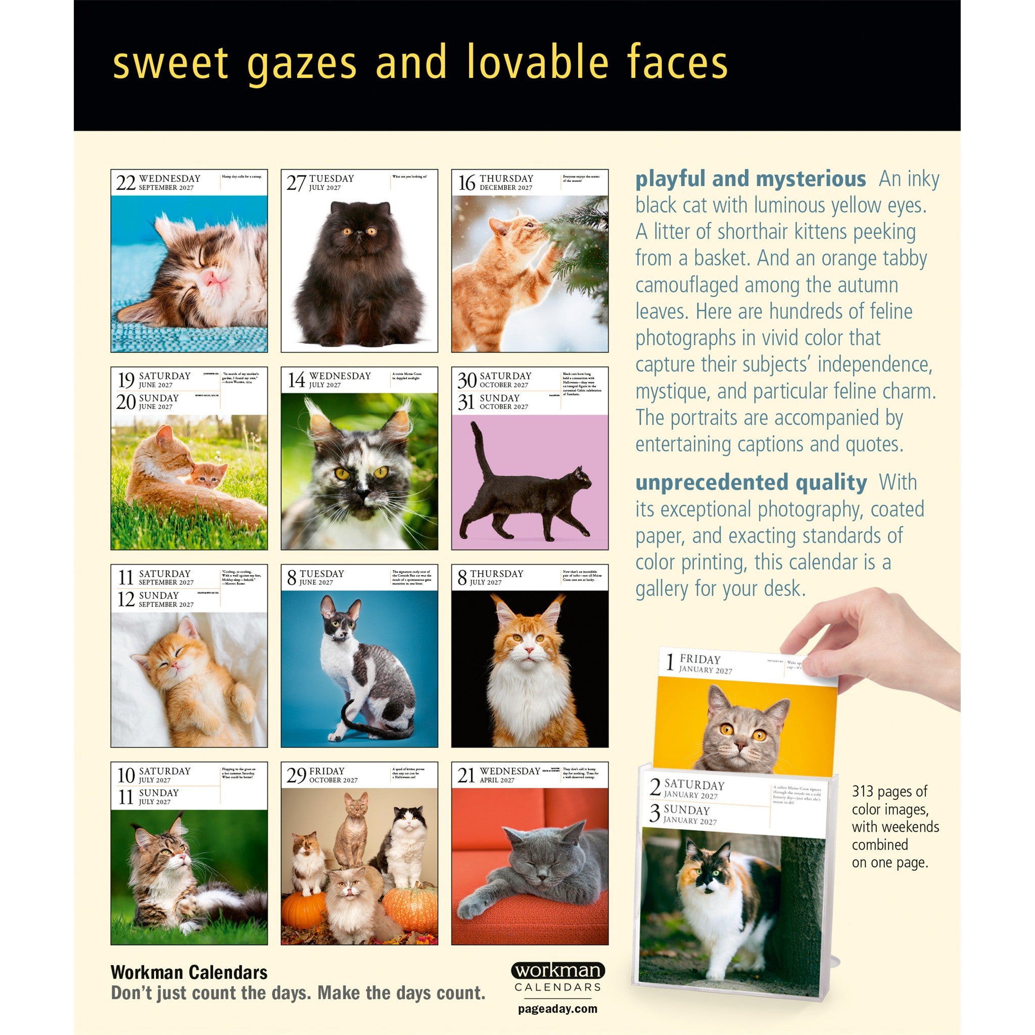 Cat Gallery 2027 Box Calendar