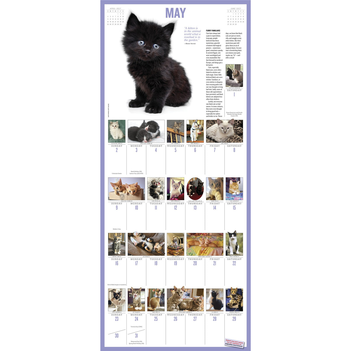 Calendrier Mural 365 Chatonniers par An 2027