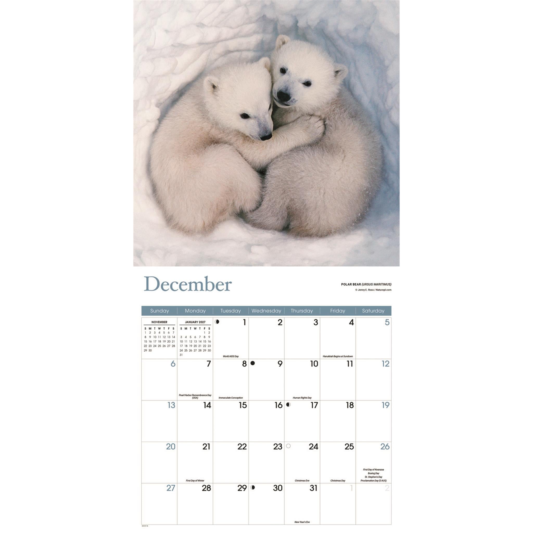 Baby Animals 2026 Wall Calendar