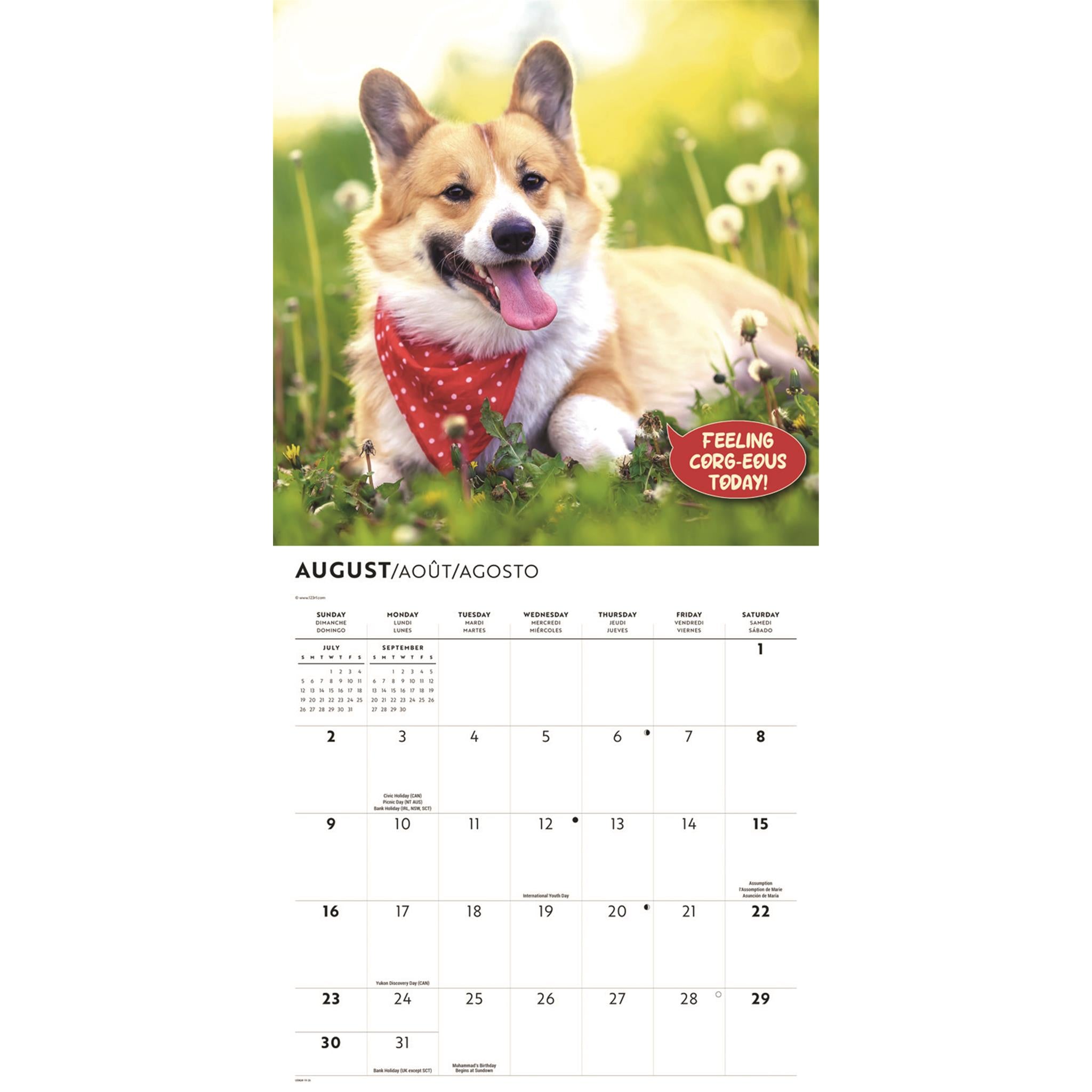 Corgi Capers 2026 Wall Calendar