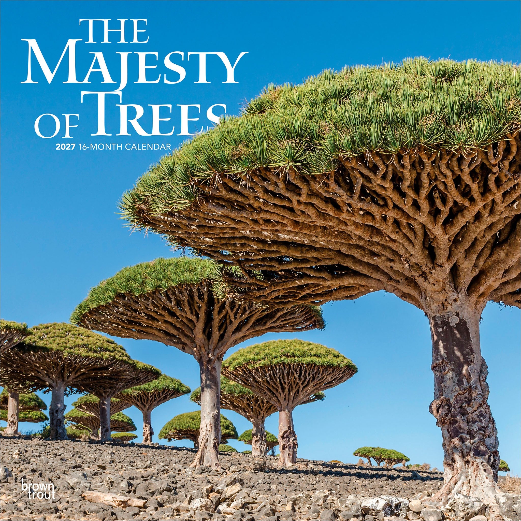 Majesty of Trees 2027 Wall Calendar - Online Only