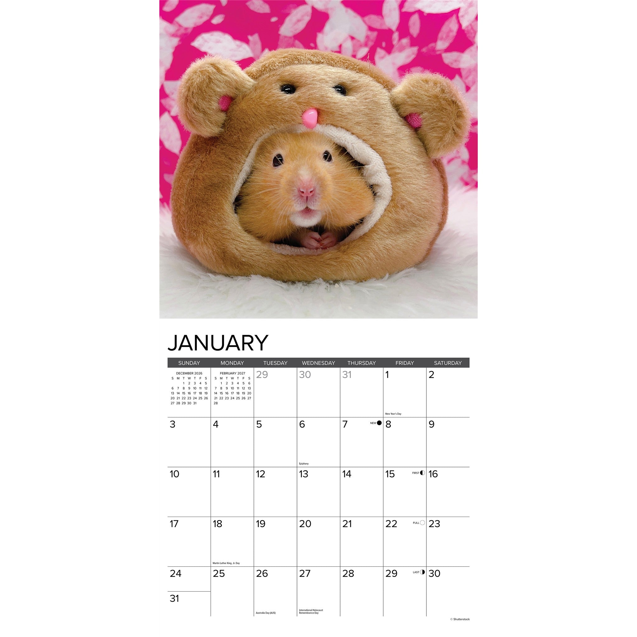 Hamsters 2027 Wall Calendar