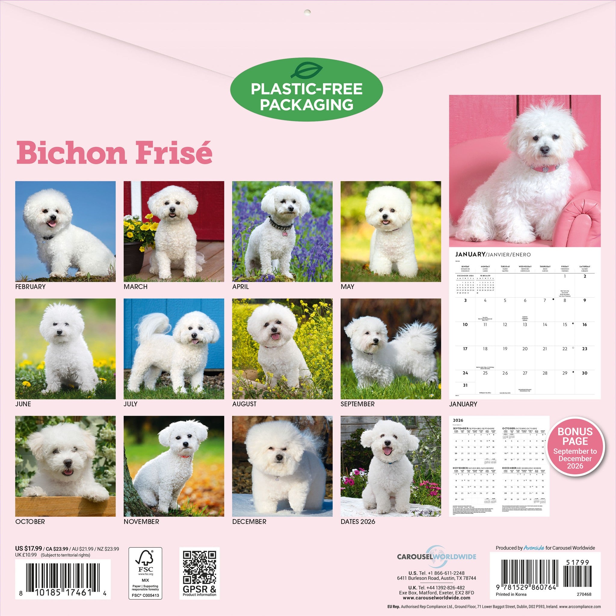 Calendrier mural Bichon frisé 2027