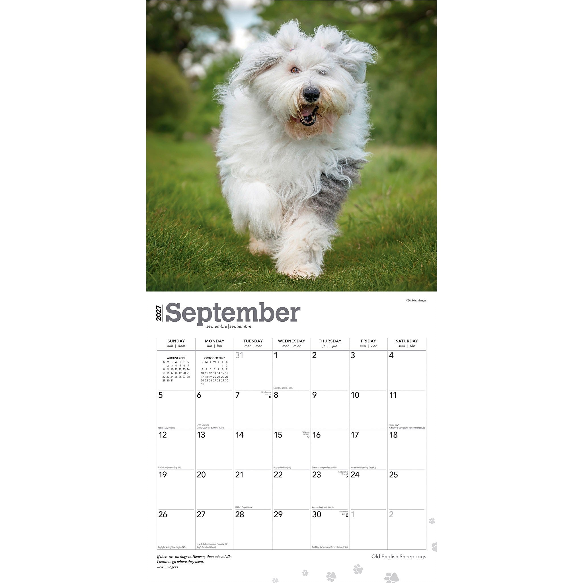 Old English Sheepdogs 2027 Wall Calendar
