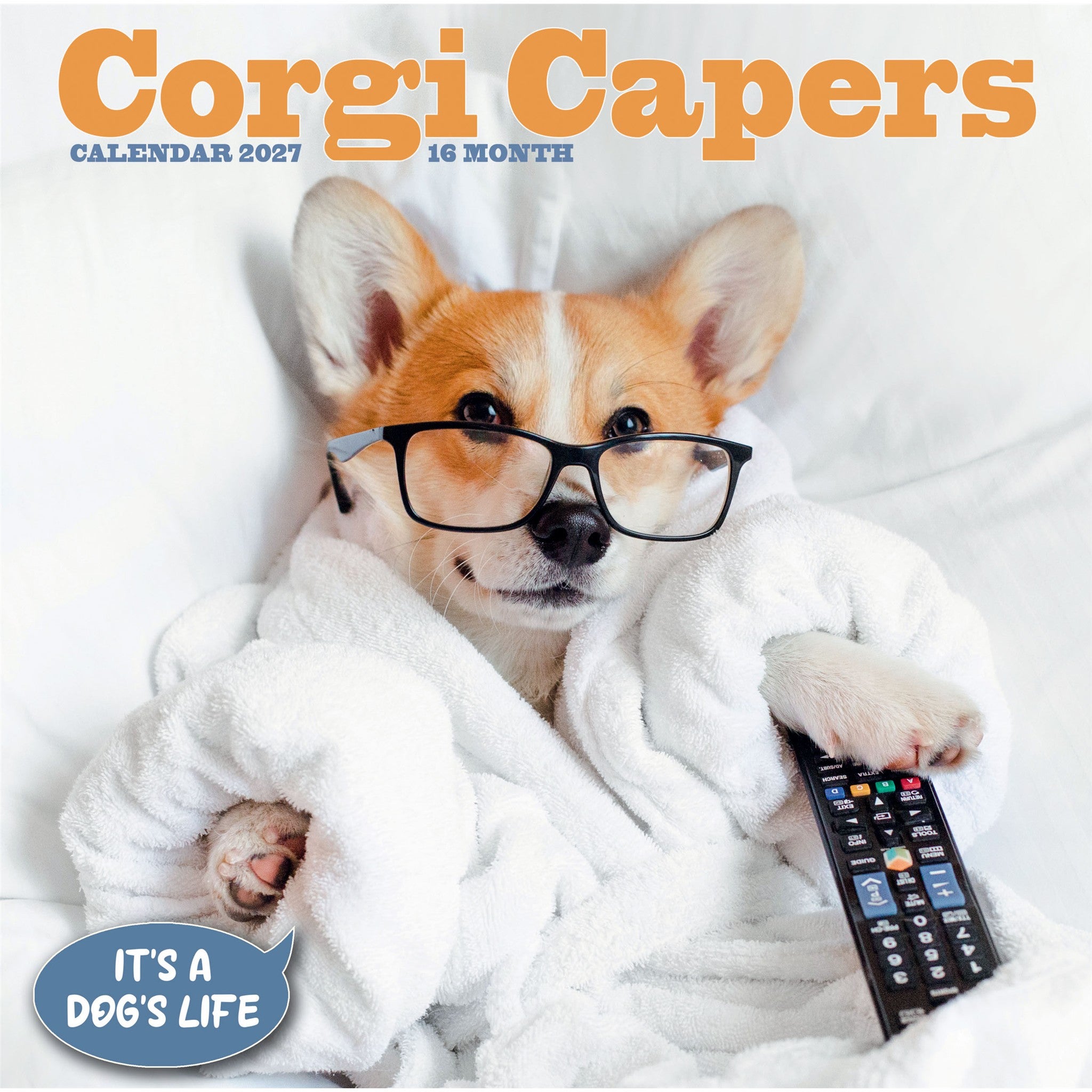 Calendrier mural Corgi Capers 2027