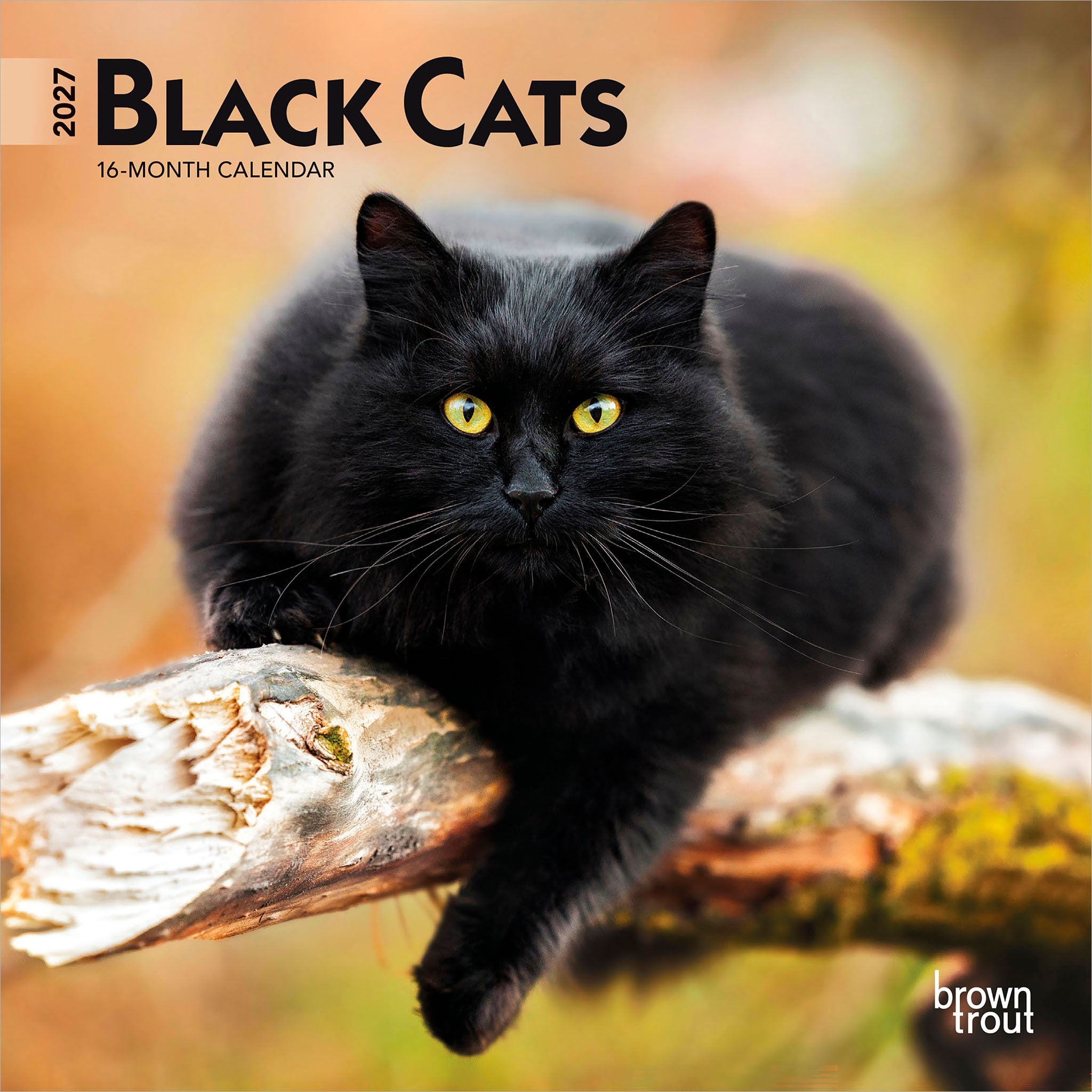 Black Cats 2027 Mini Calendar