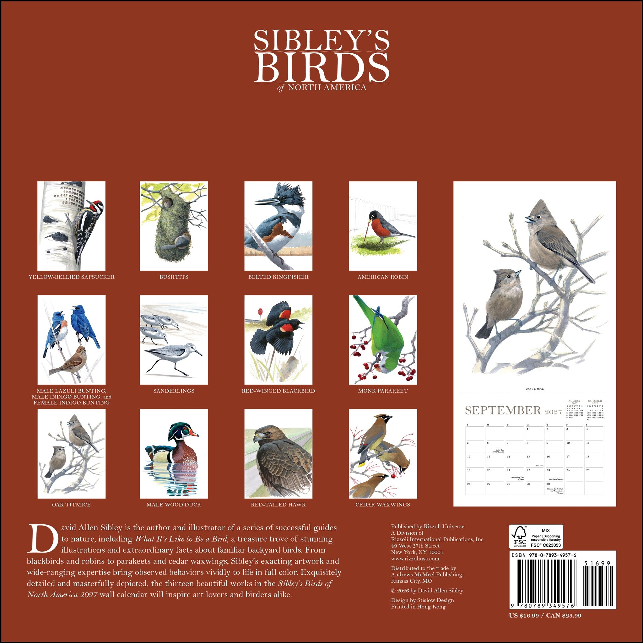 Sibley's Birds of North America 2027 Wall Calendar - Online Only