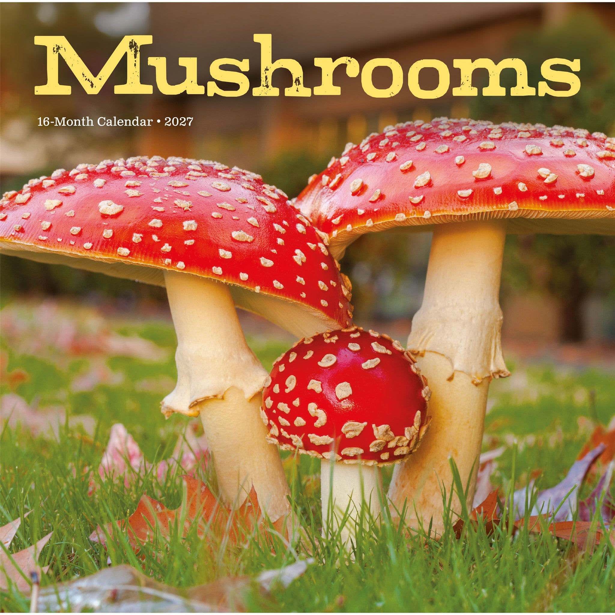Mushrooms 2027 Wall Calendar