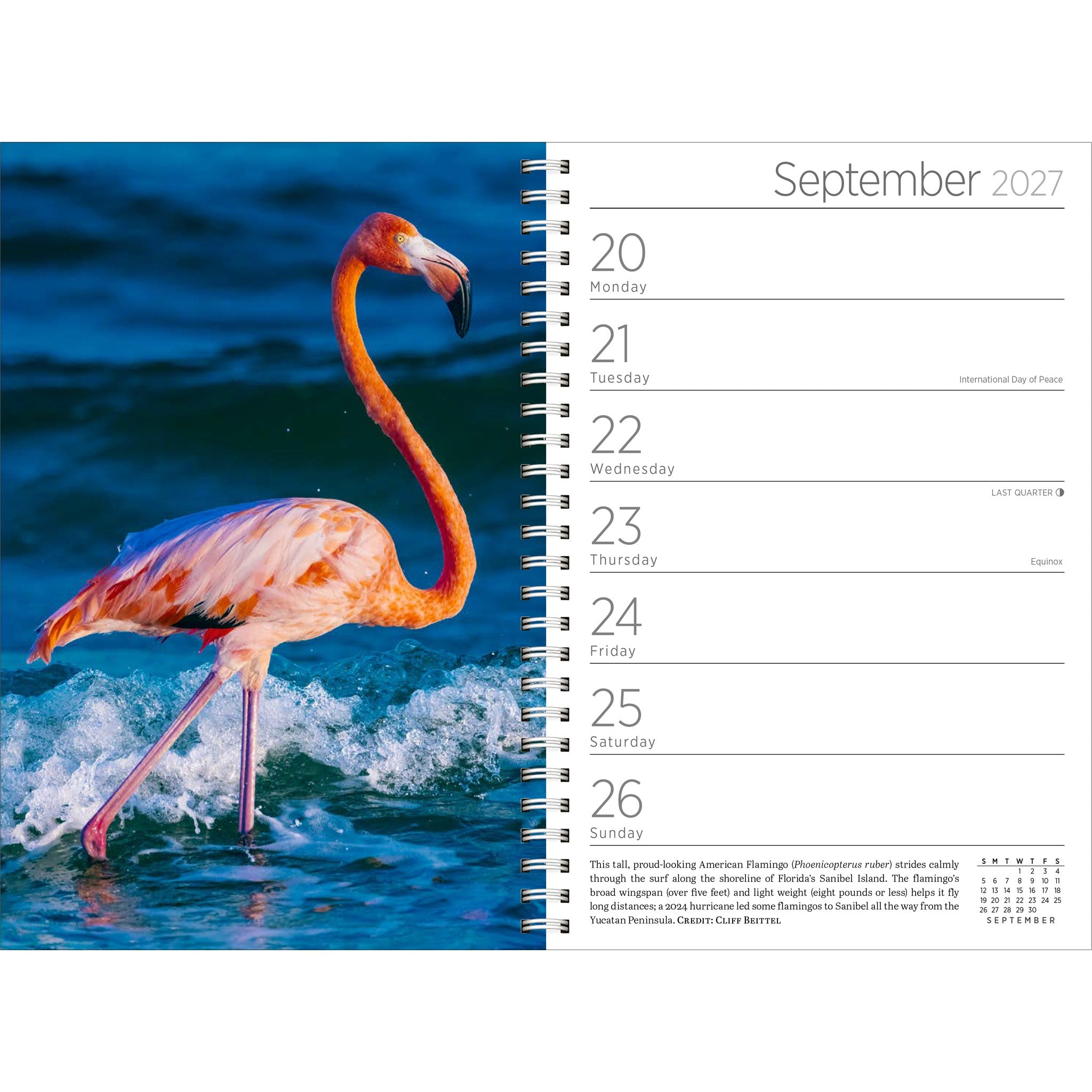 Audubon 2027 Engagement Calendar