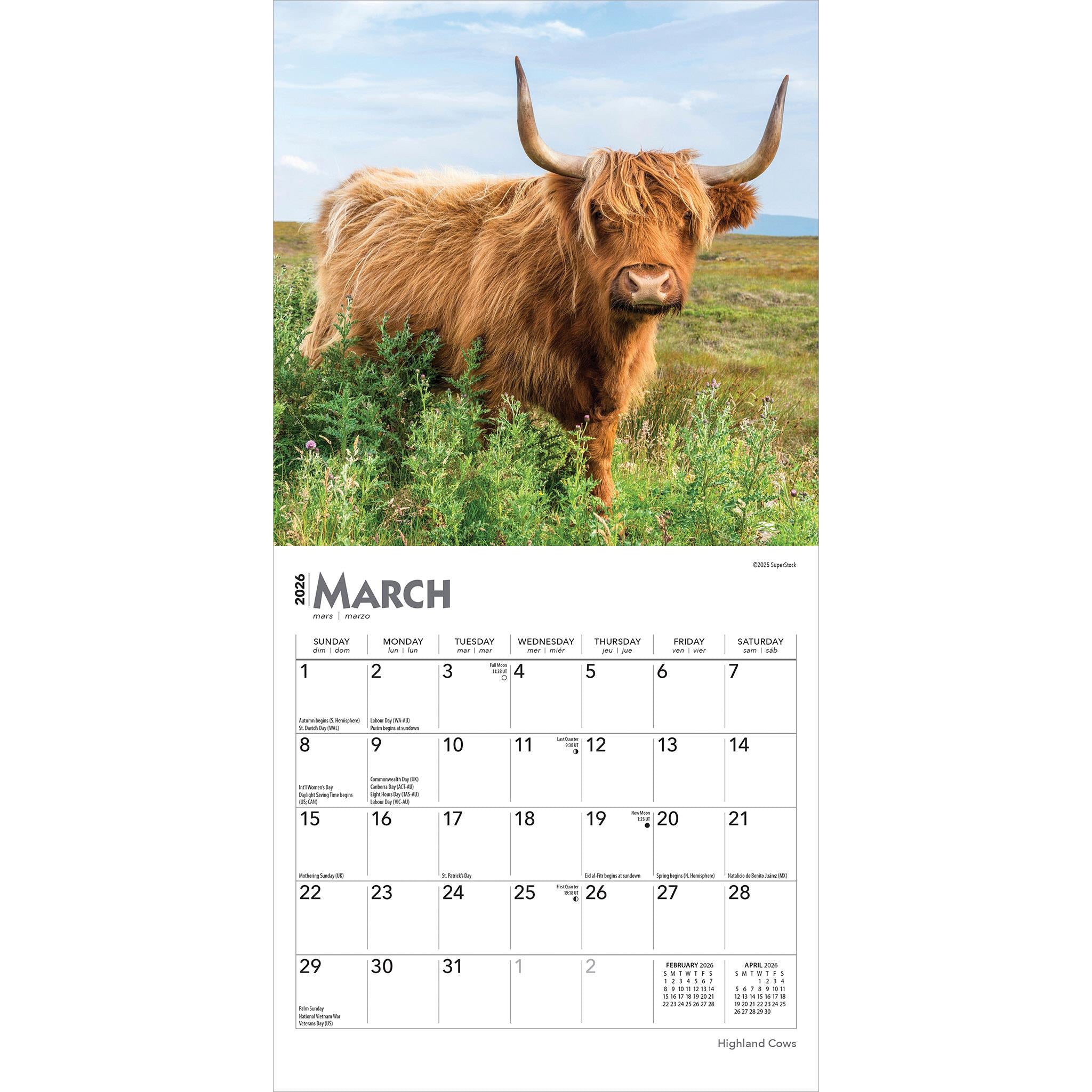 Mini-calendrier des vaches des Highlands 2026