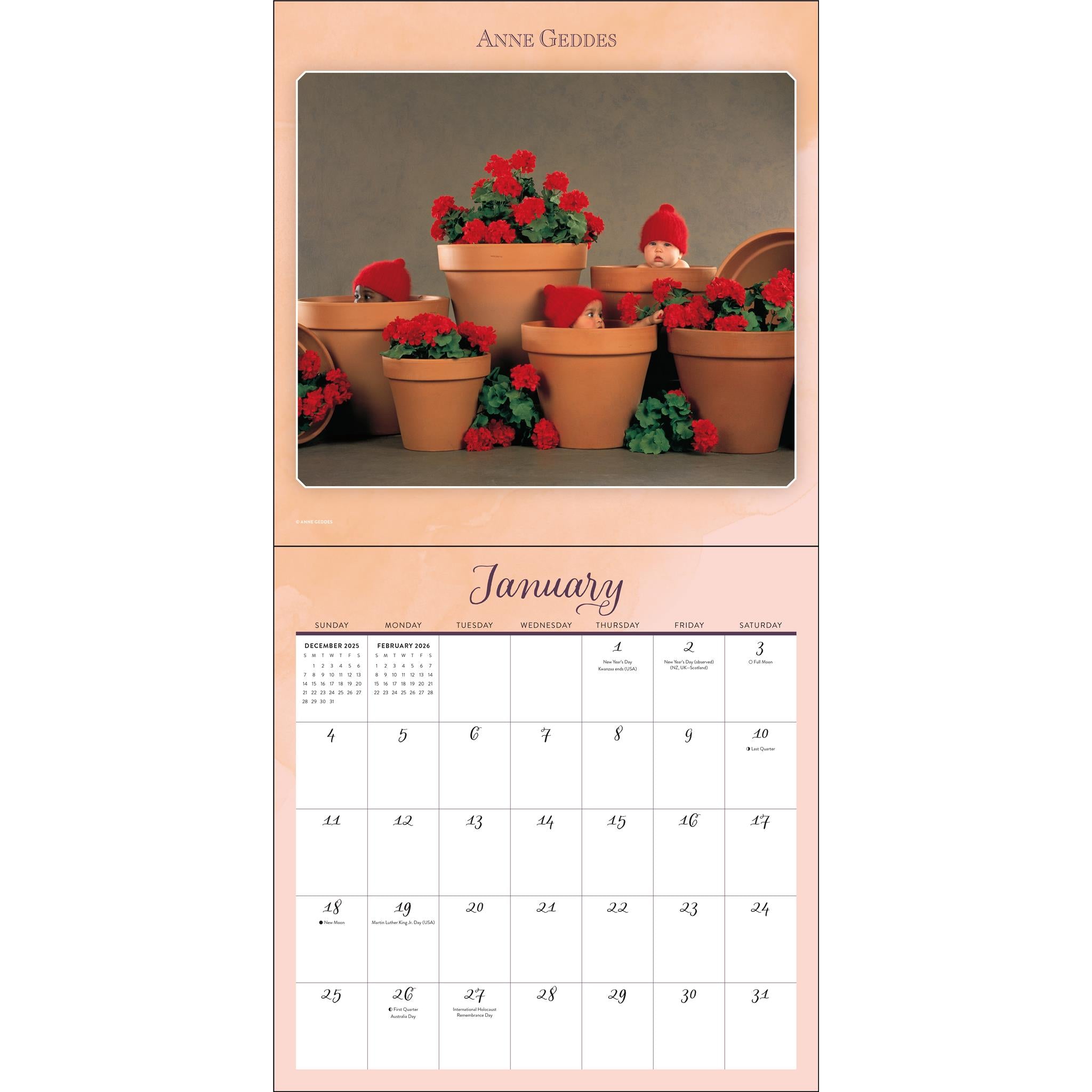 Calendrier mural Anne Geddes 2026
