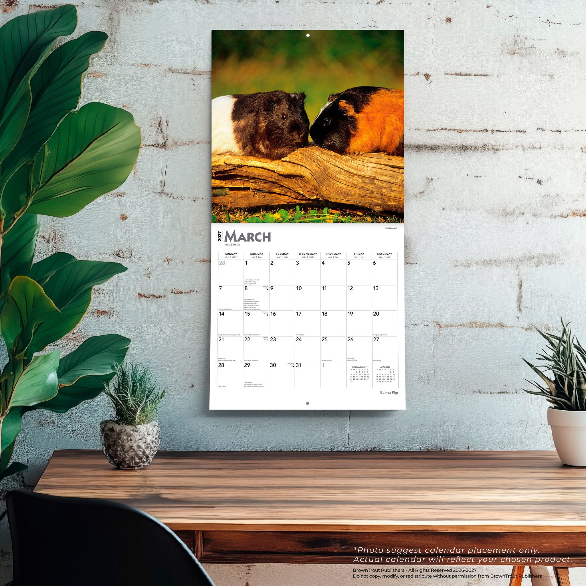 Guinea Pigs 2027 Wall Calendar