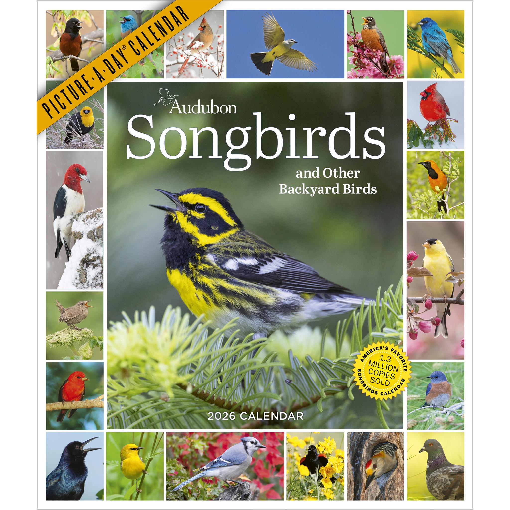 Calendrier mural Audubon Songbirds 365 2026