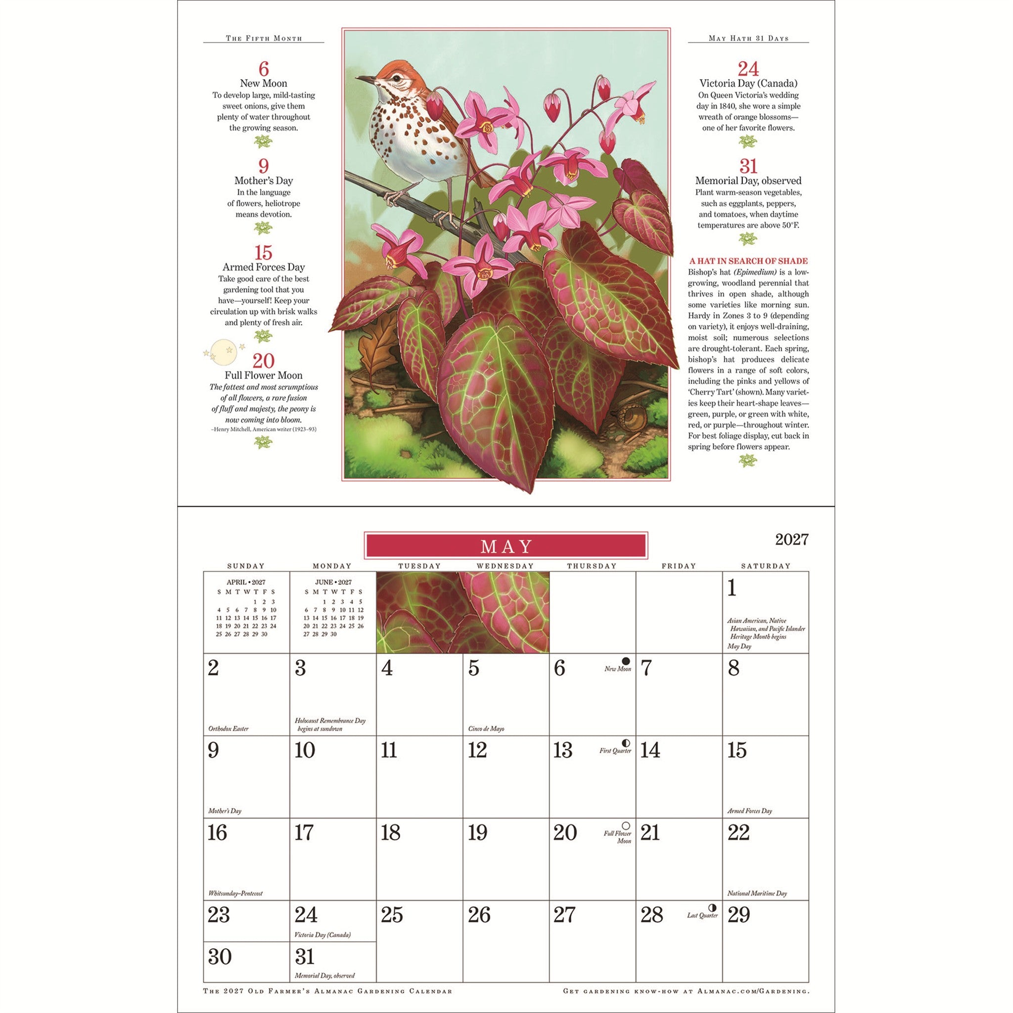 Calendrier mural 2027 de jardinage de l'Almanach du Vieux fermier