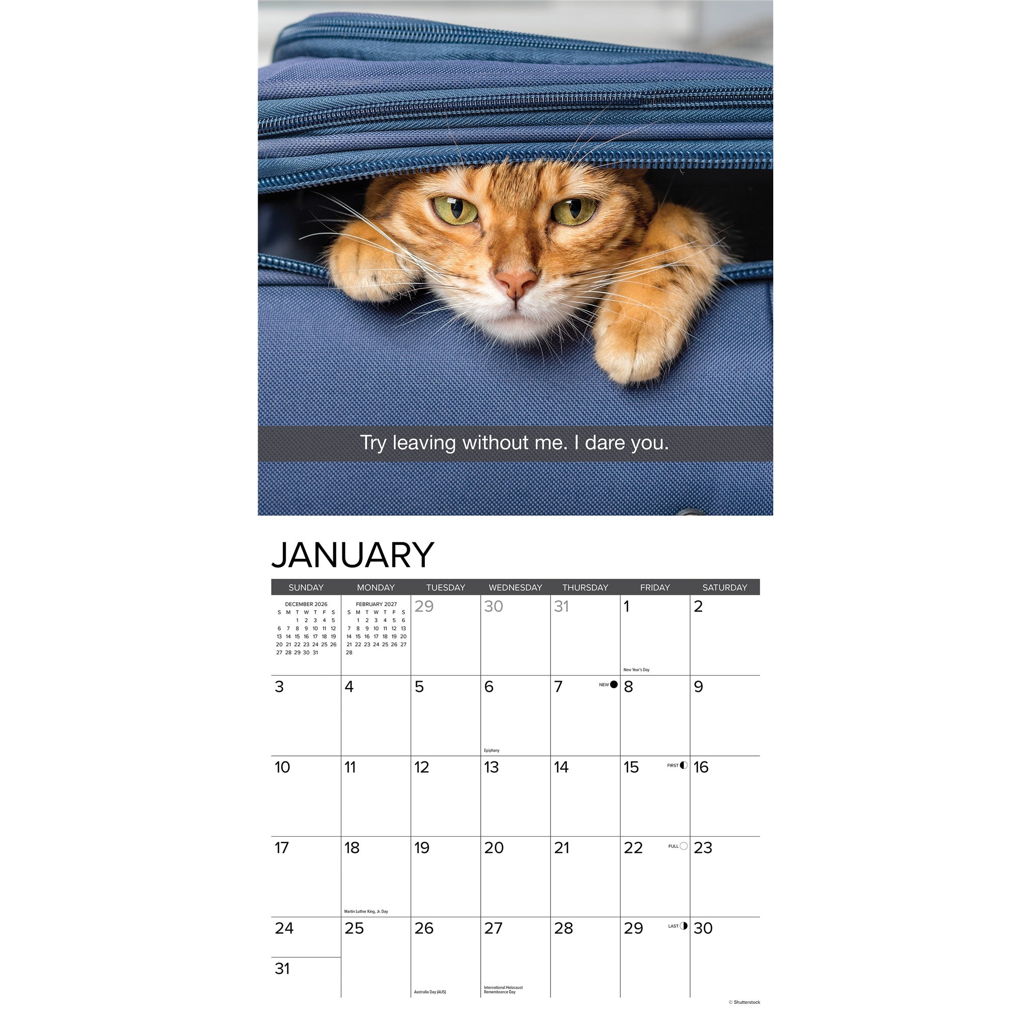 Snapcats 2027 Wall Calendar