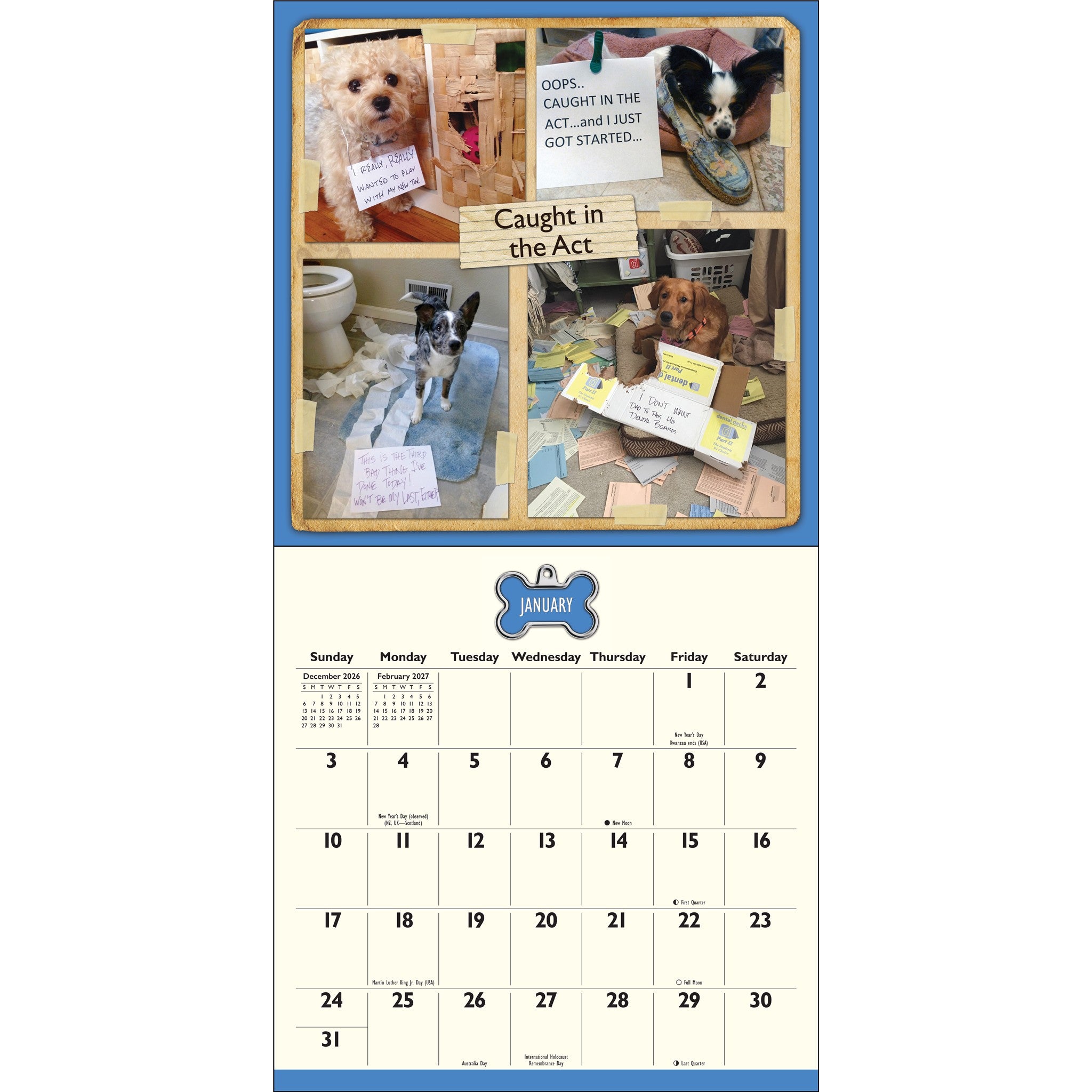 Calendrier mural 2027 : La honte des chiens