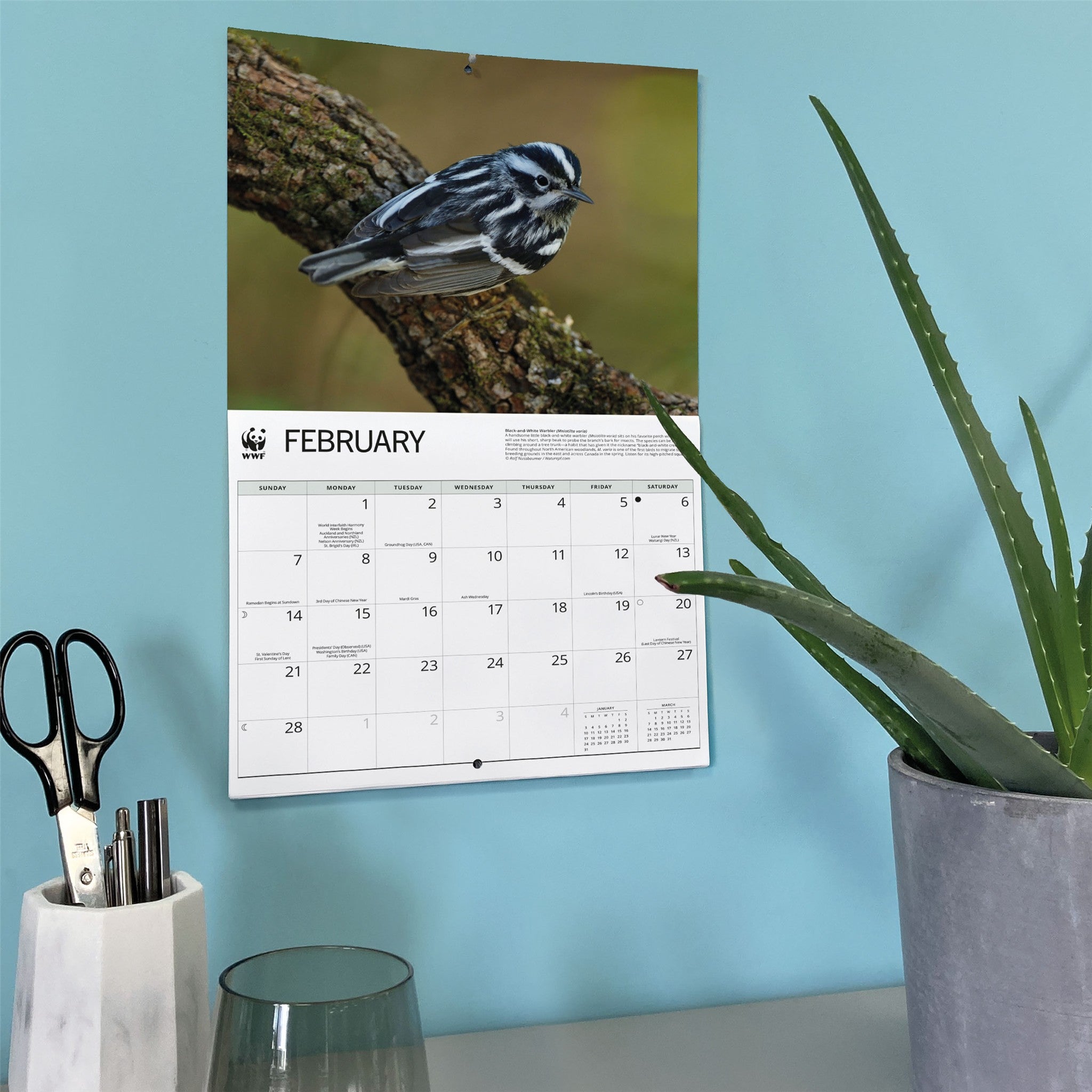 Calendrier mural 2027 Chants d'oiseaux du WWF