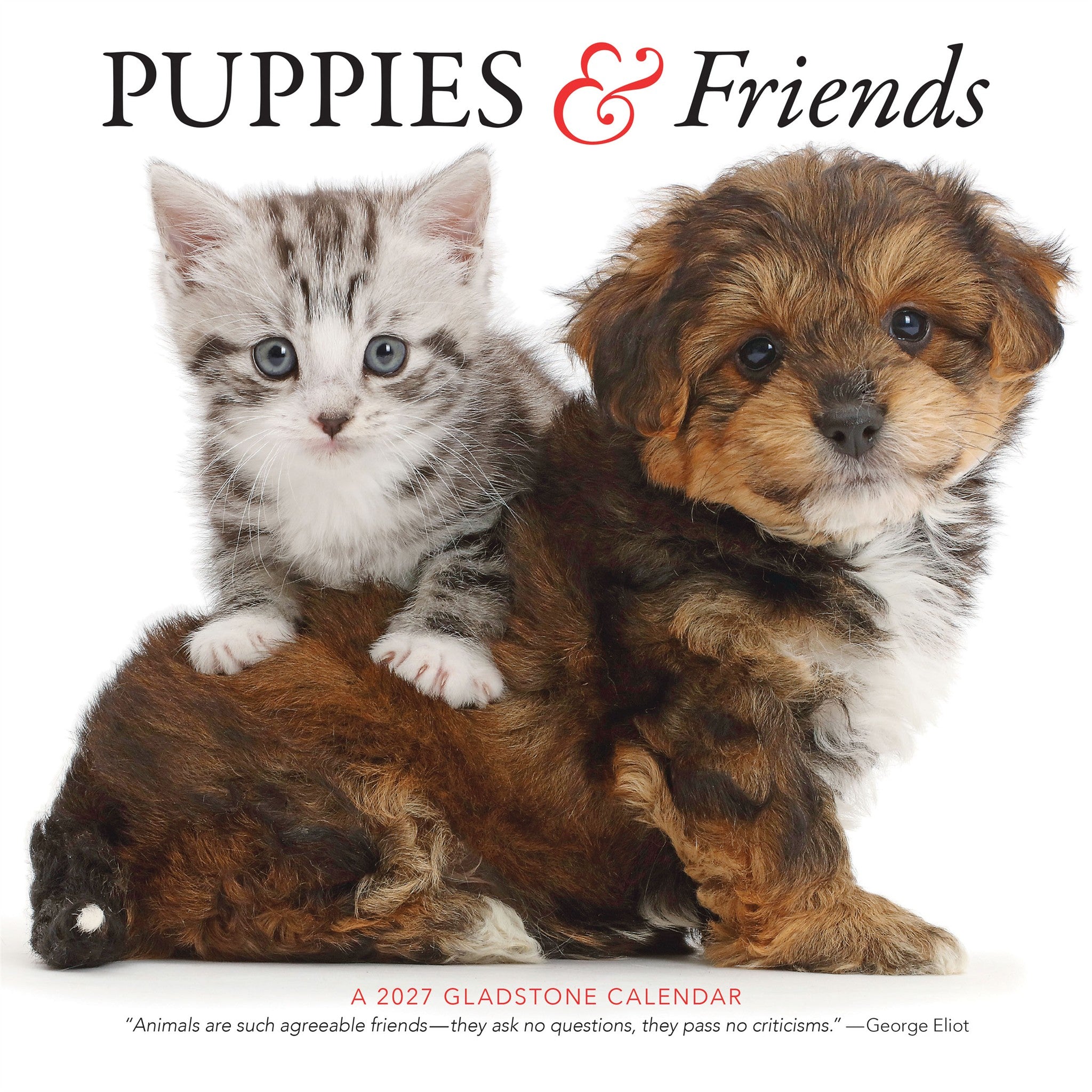 Calendrier mural Chiots et amis 2027