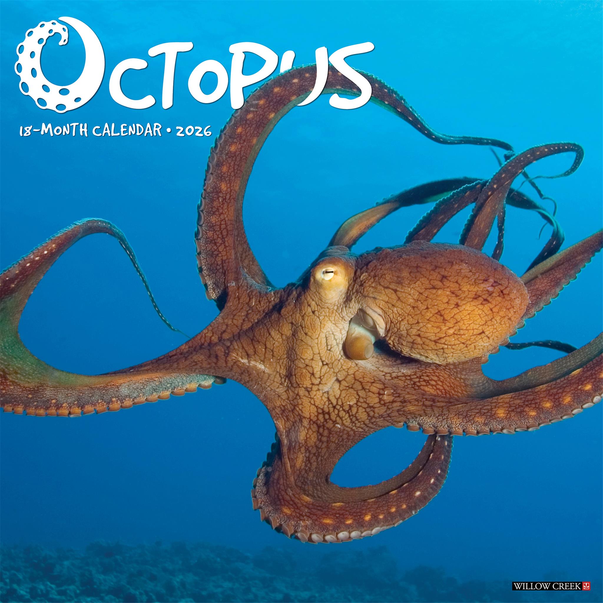 Calendrier mural Octopus 2026