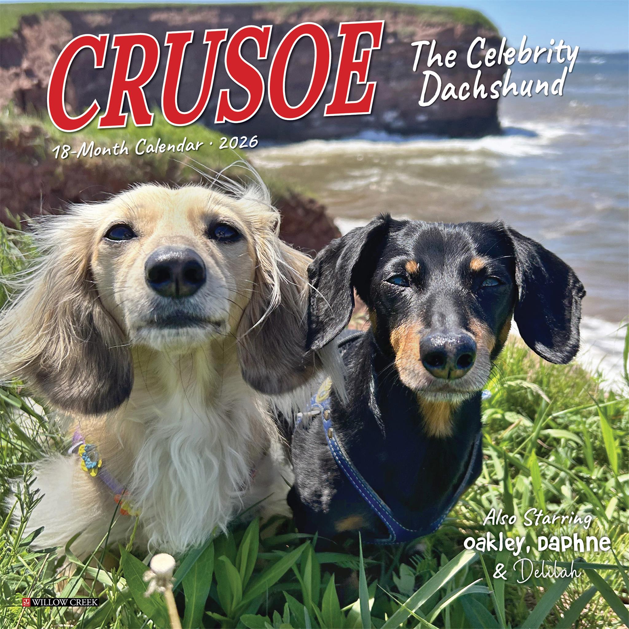 Mini calendrier Crusoe Dachshund 2026