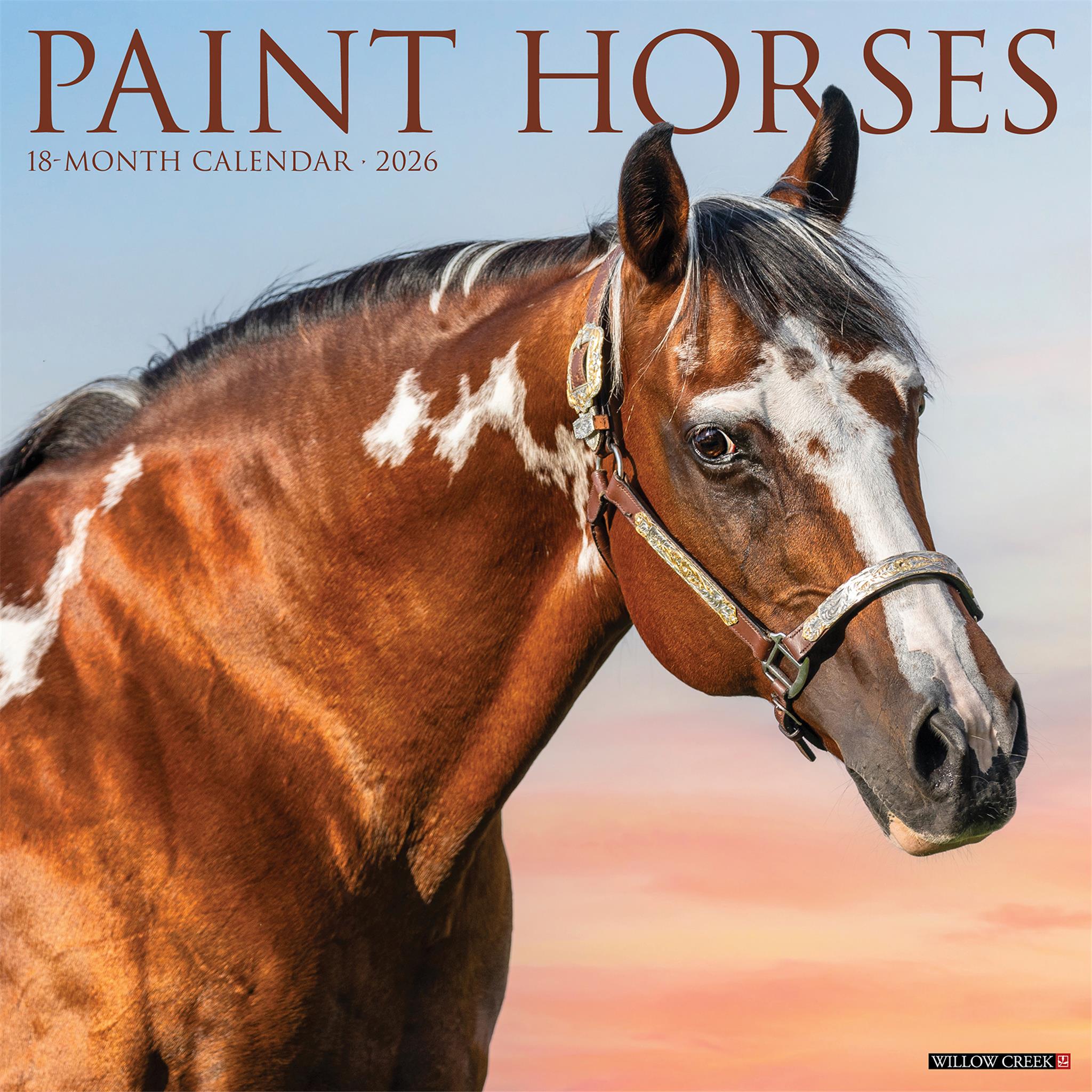 Calendrier mural Paint Horses 2026