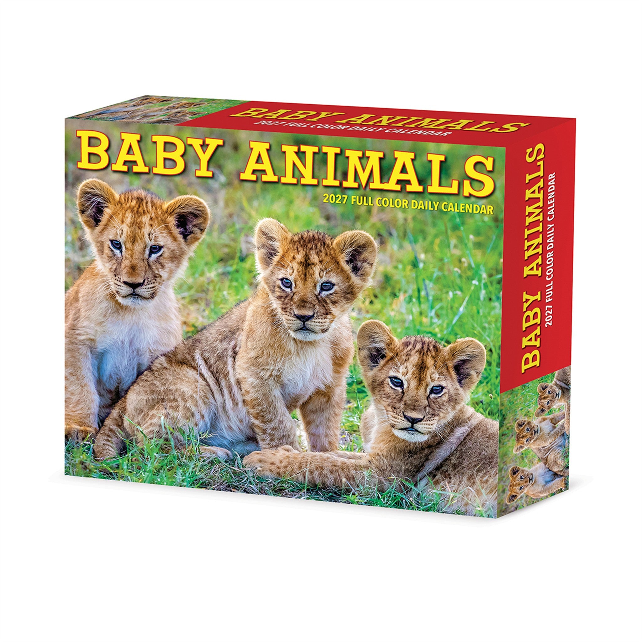 Baby Animals 2027 Box Calendar - Online Only