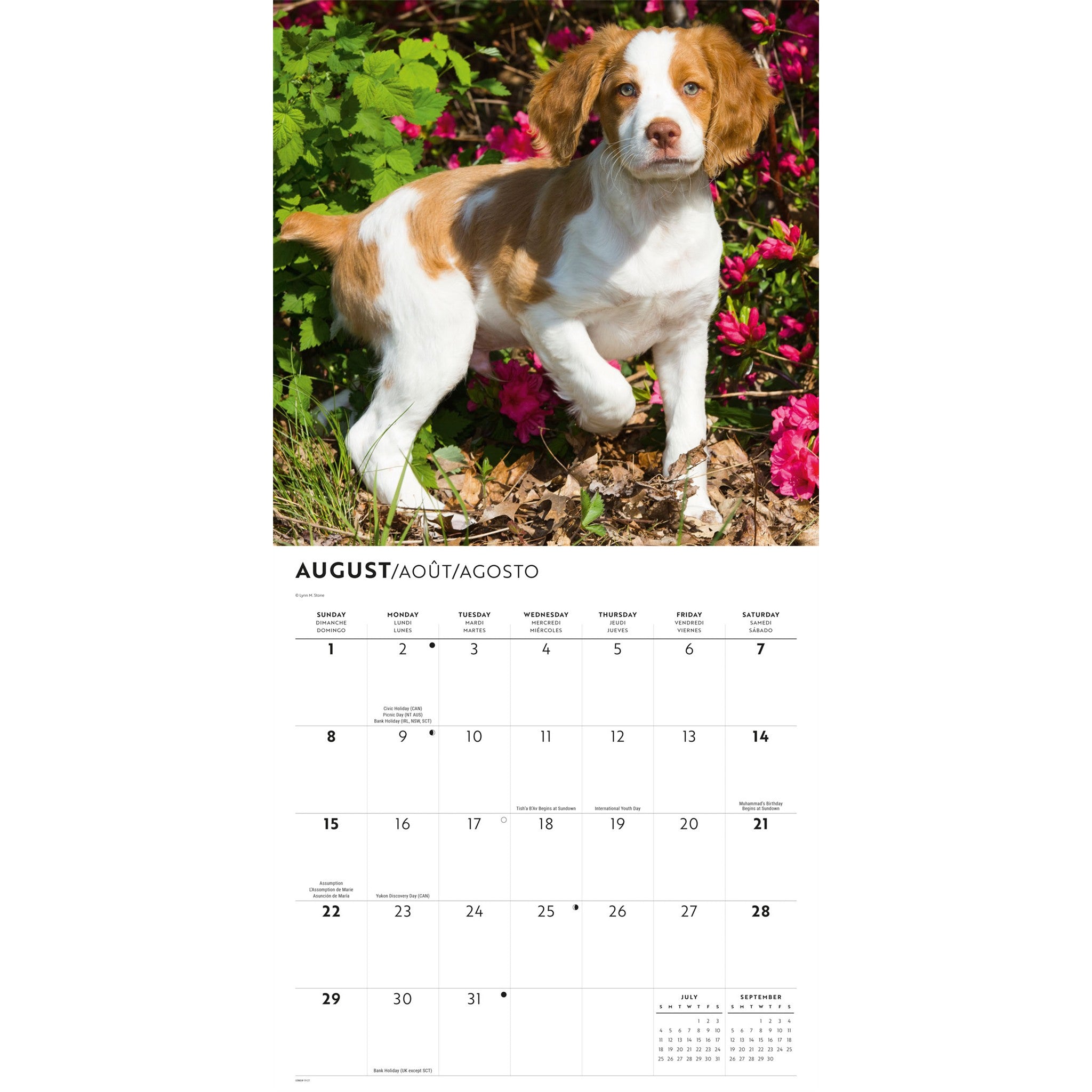 Calendrier mural Brittanys 2027