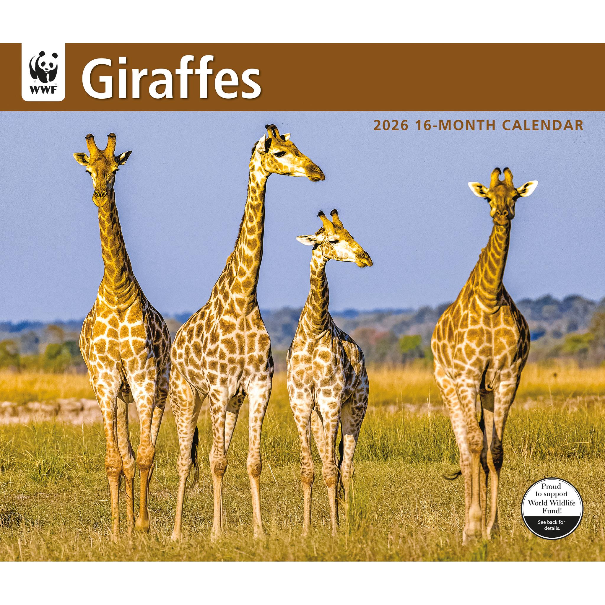 Calendrier mural 2026 du Fonds mondial pour la nature (WWF) sur les girafes