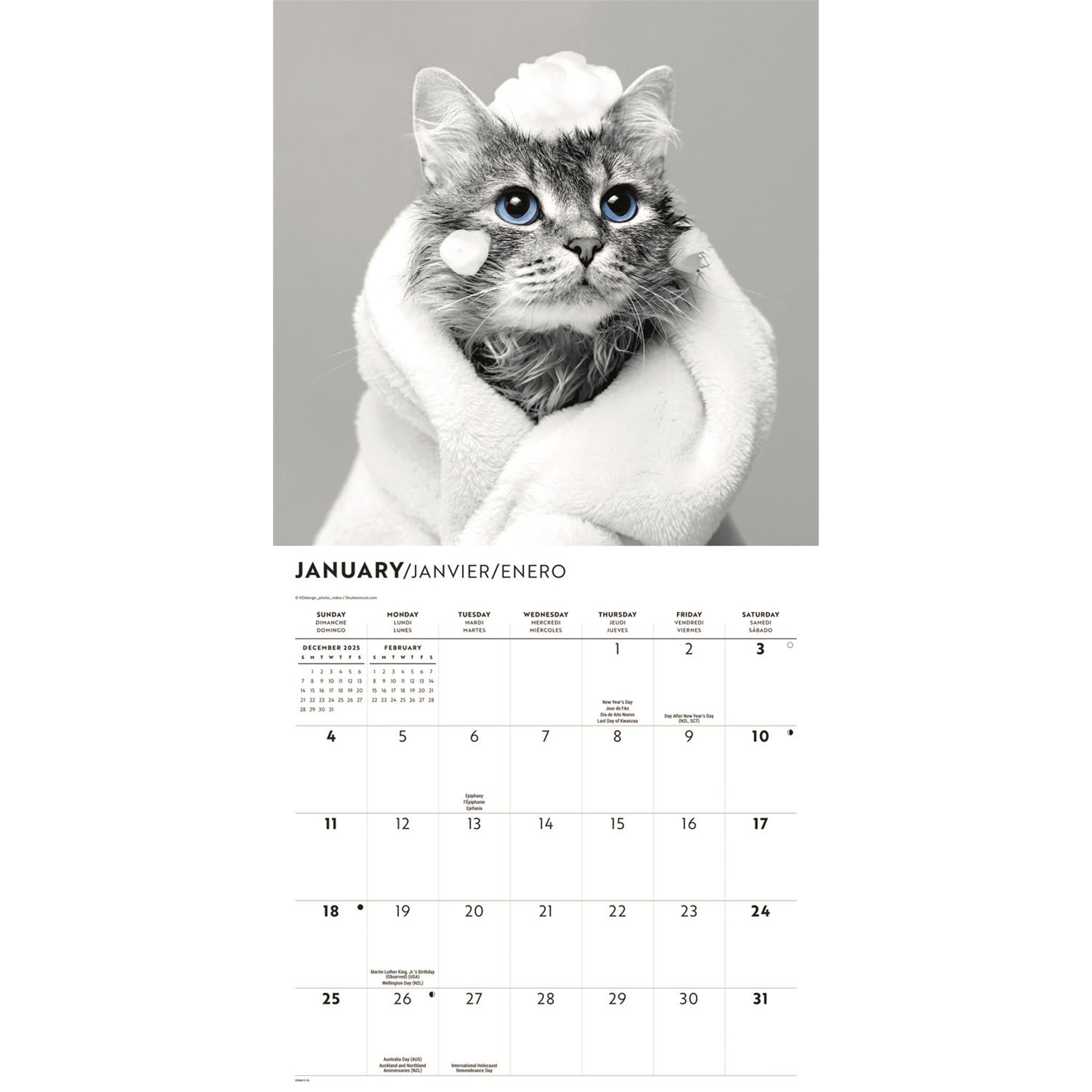 Classic Cats 2026 Wall Calendar